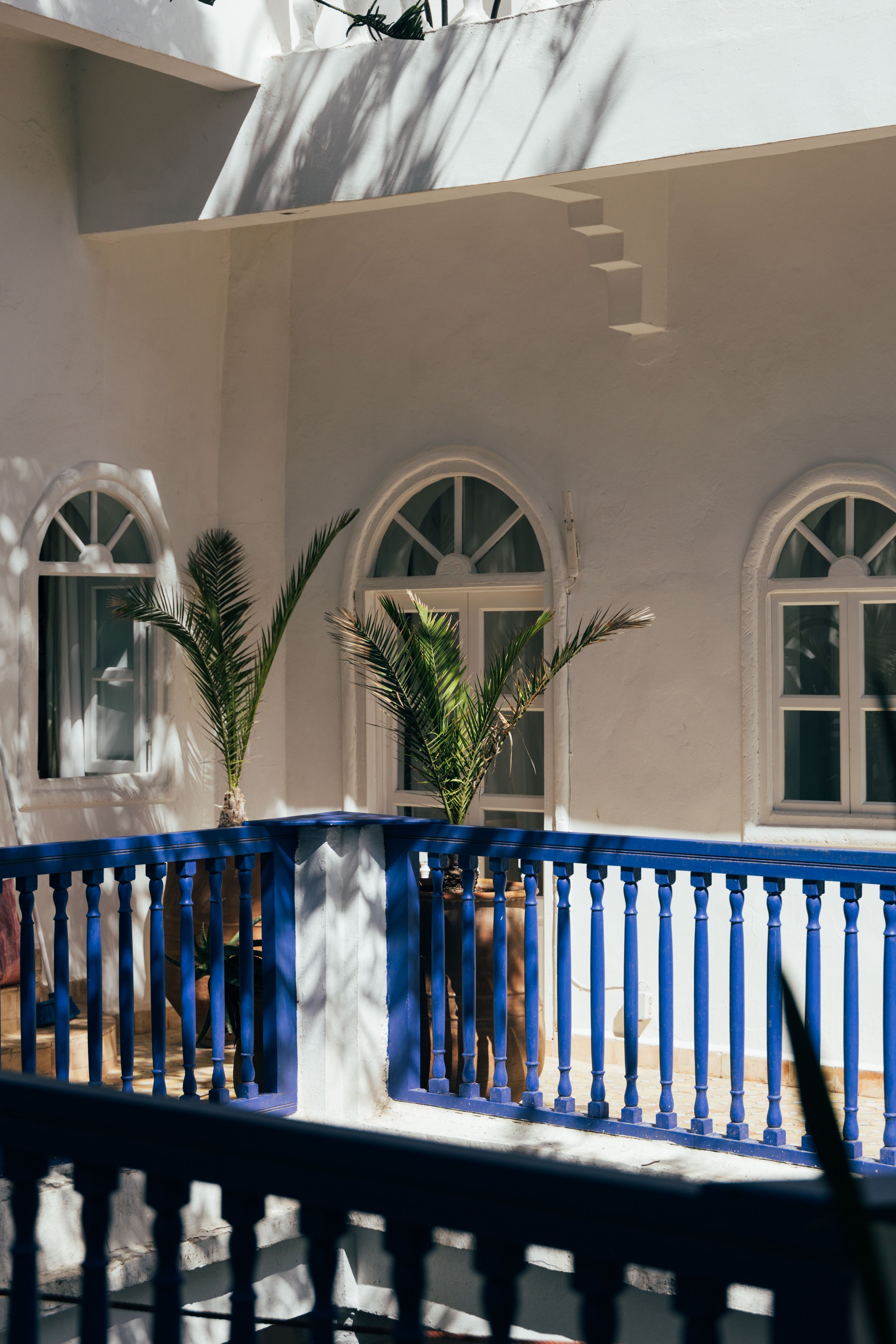 250315 Maroc0091 - Cedou.jpg