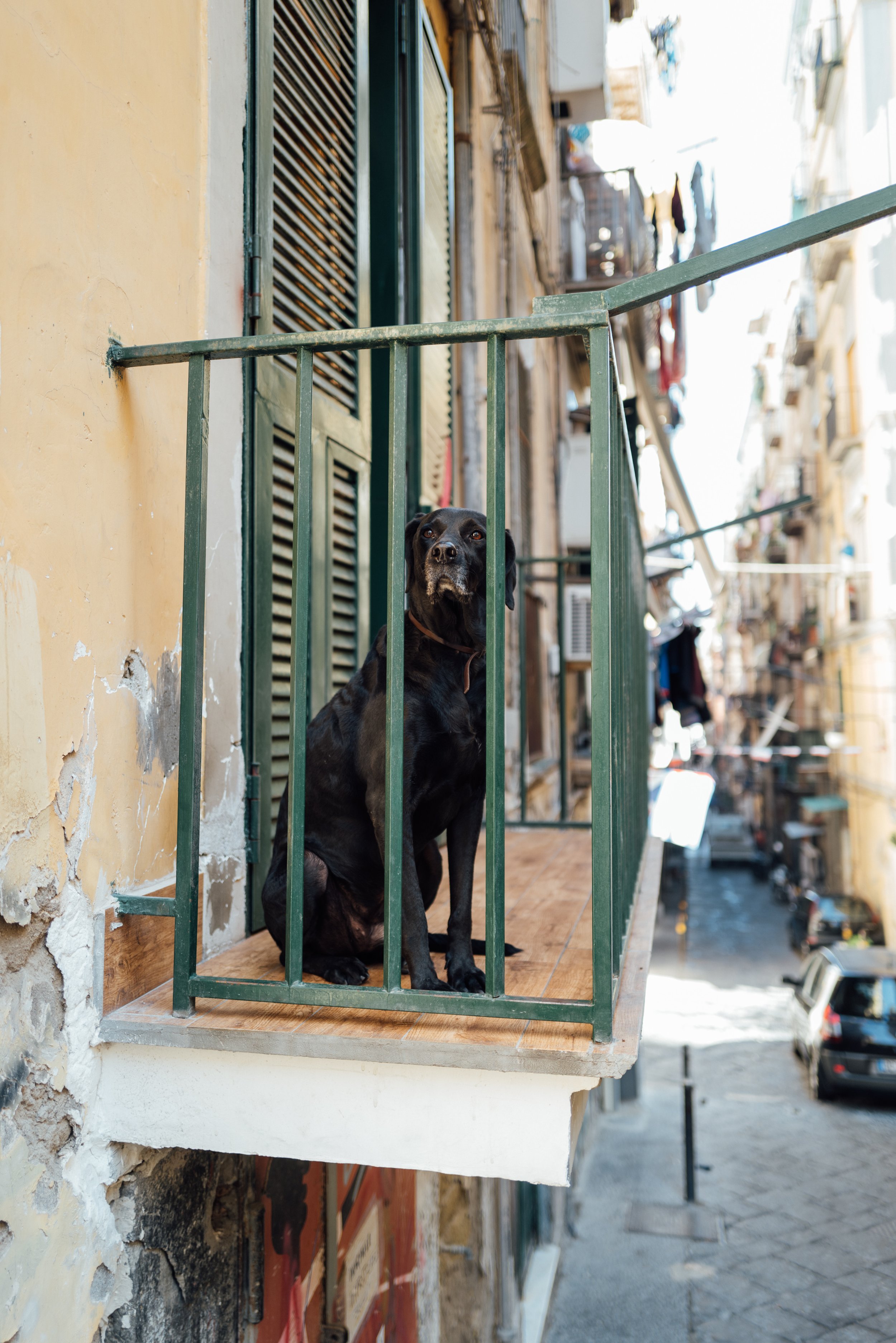 221017 Napoli -012 - Cedou.jpg