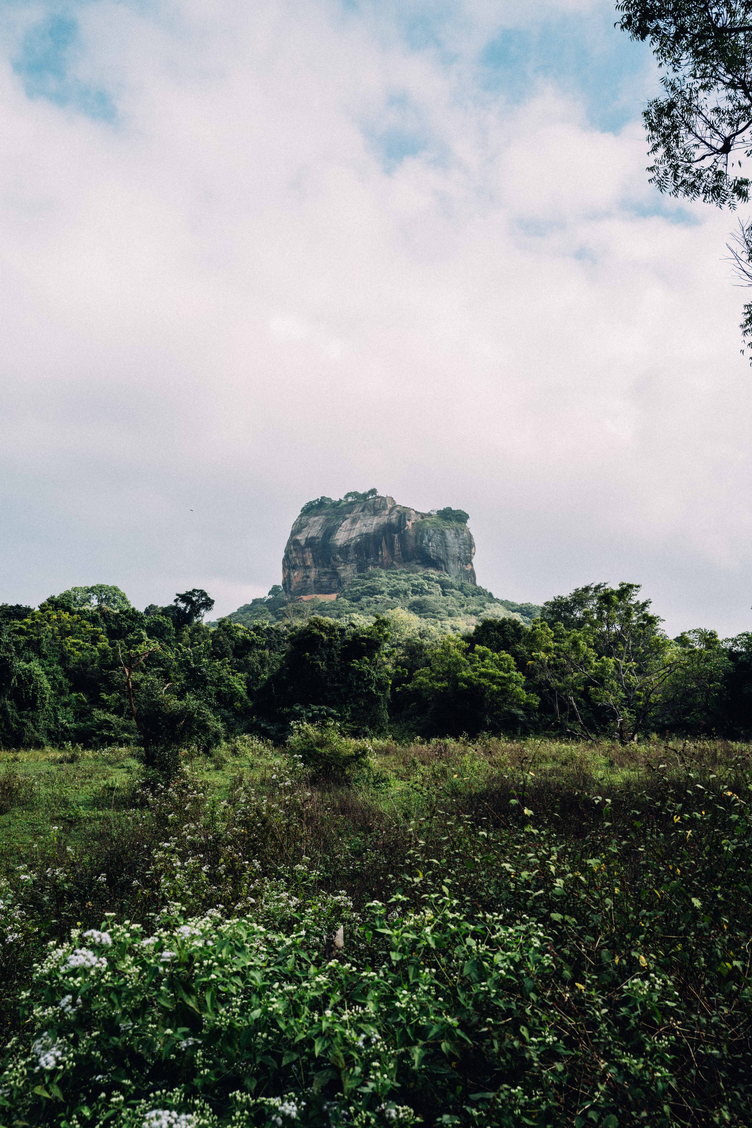 2024 Doux - Sri Lanka - Sigiriya - 0074 - Cedou.jpg