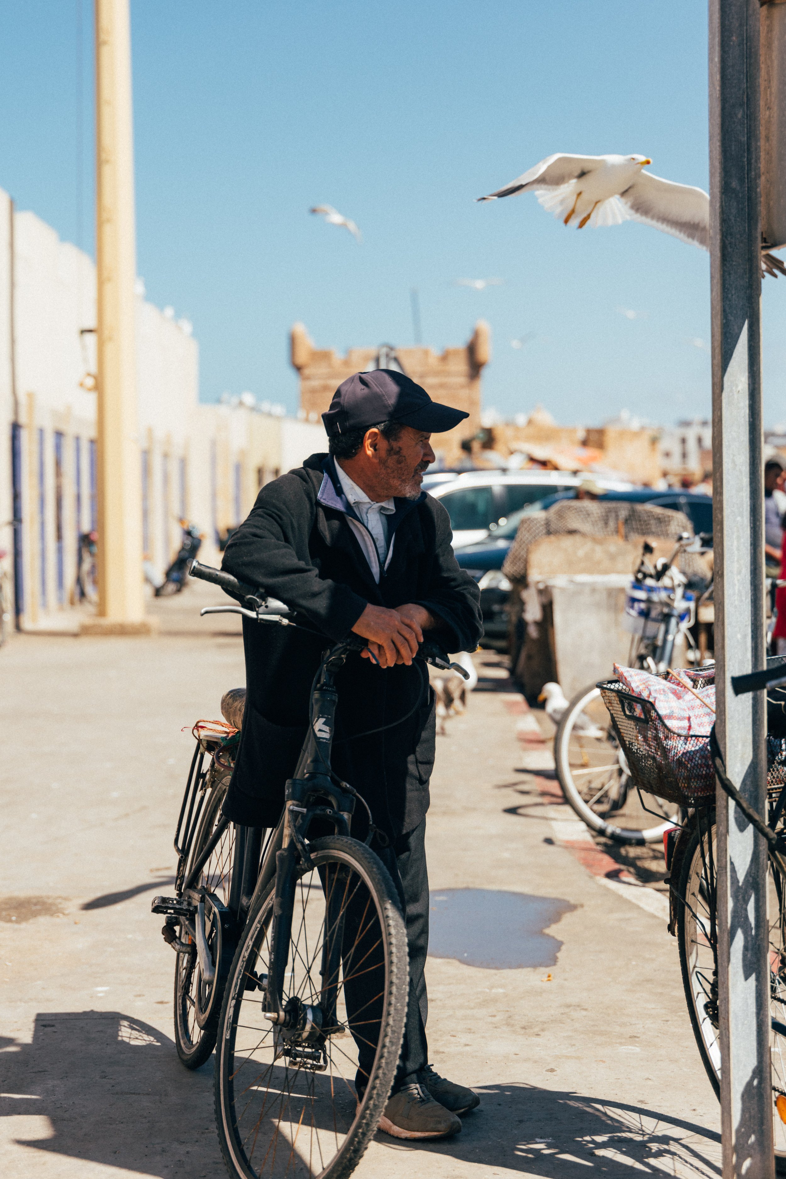 250315 Maroc0143 - Cedou.jpg