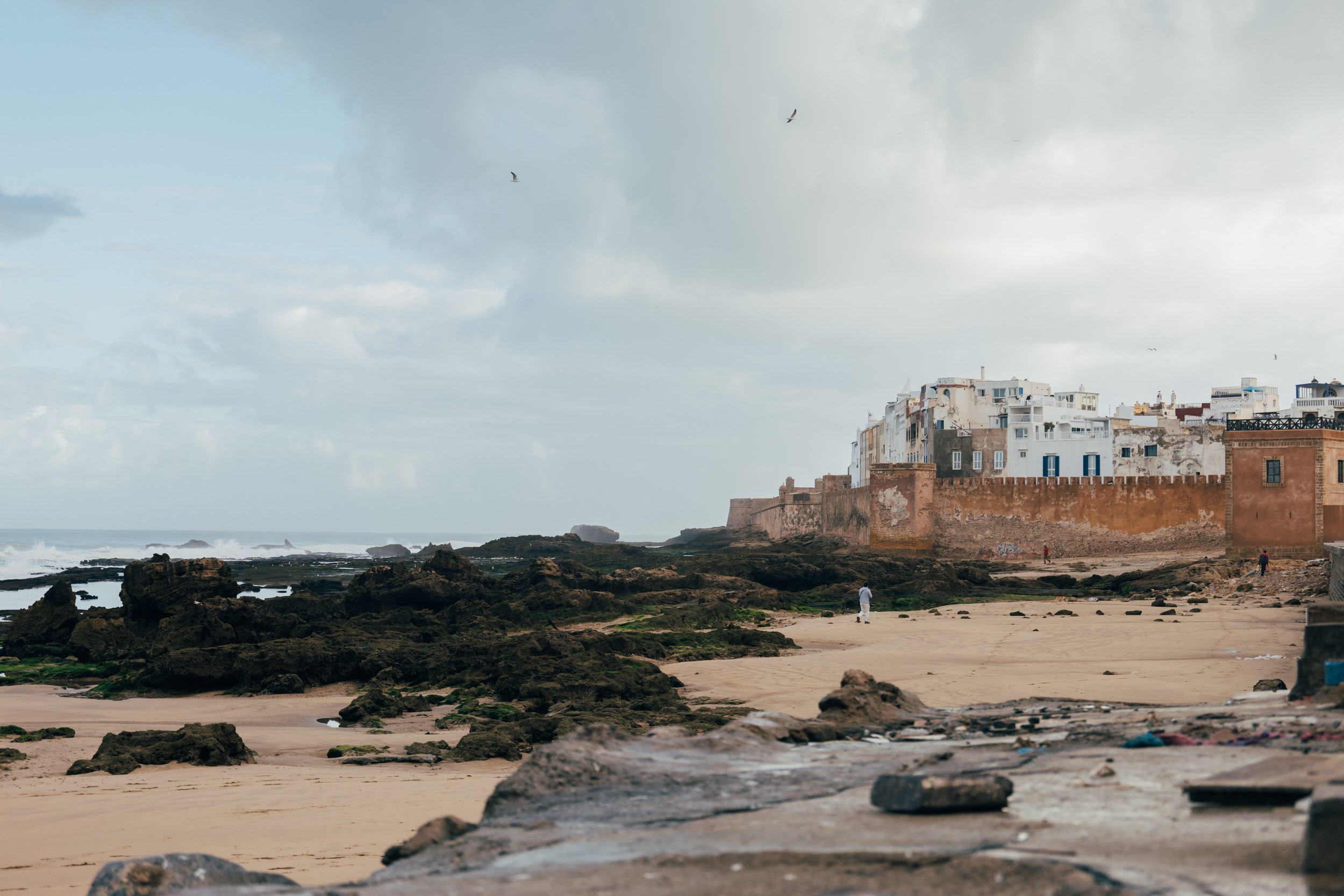 250315 Maroc0080 - Cedou.jpg