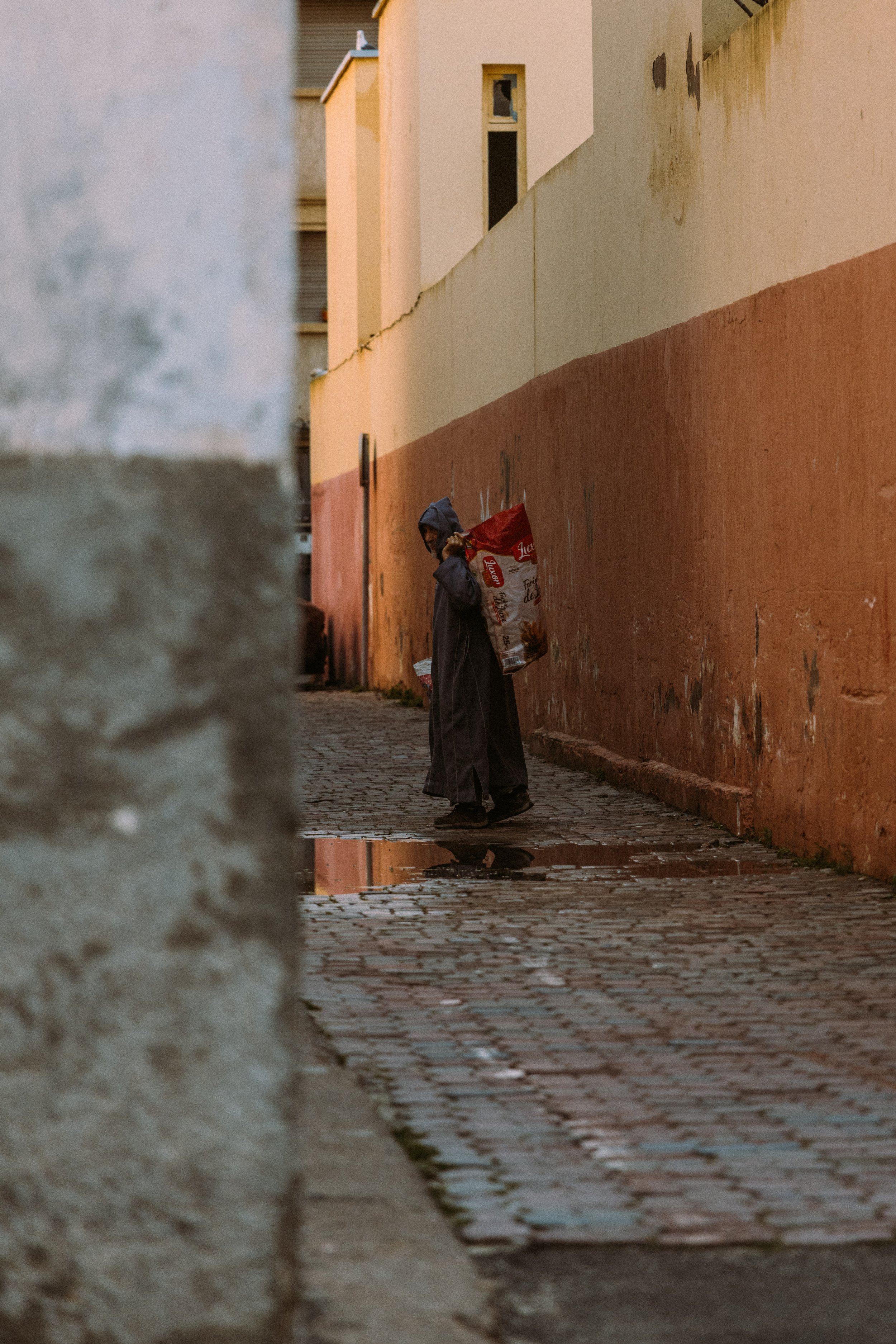 250315 Maroc0032 - Cedou.jpg