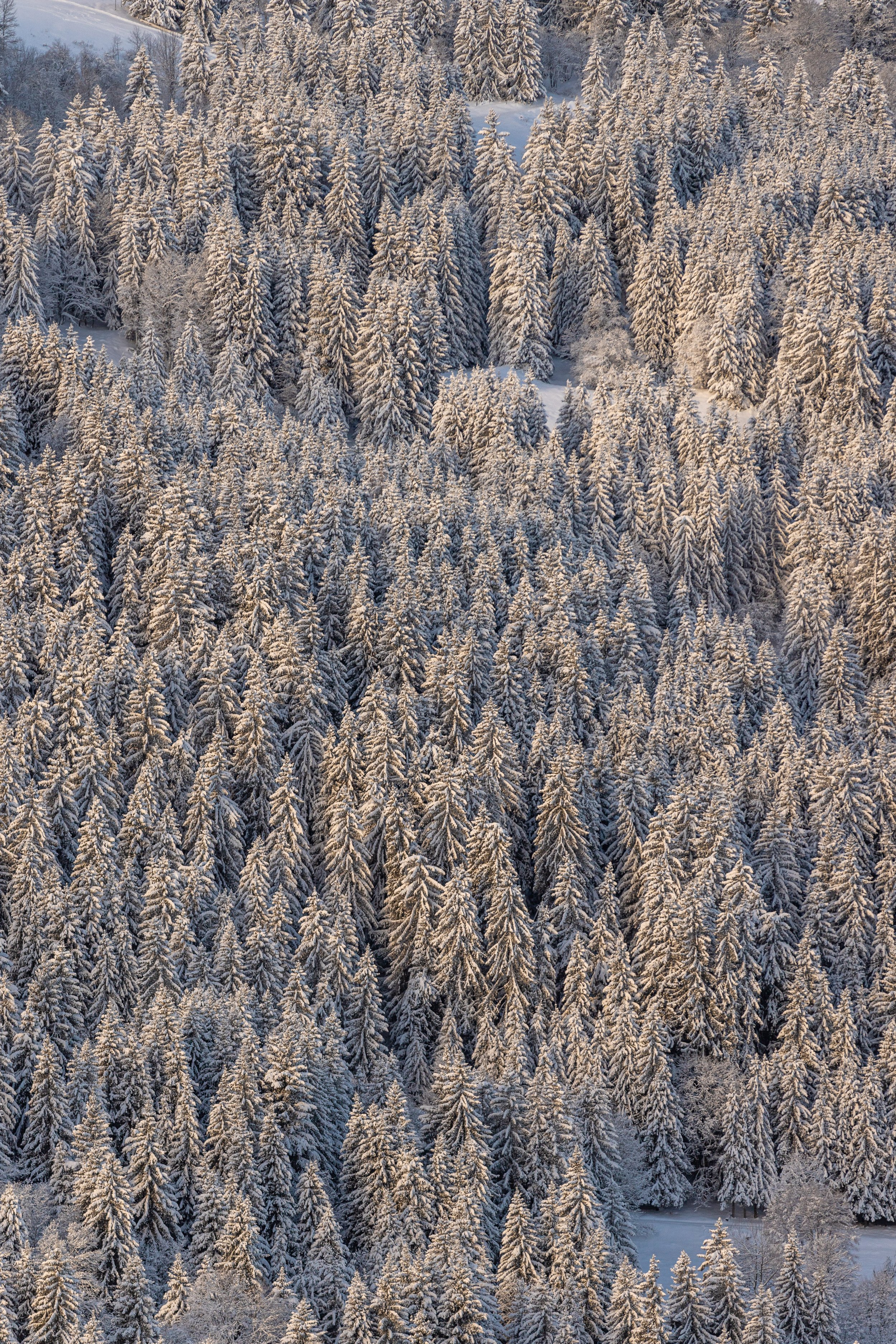 230111 Beef Bar Meribel -844 - Cedou.jpg