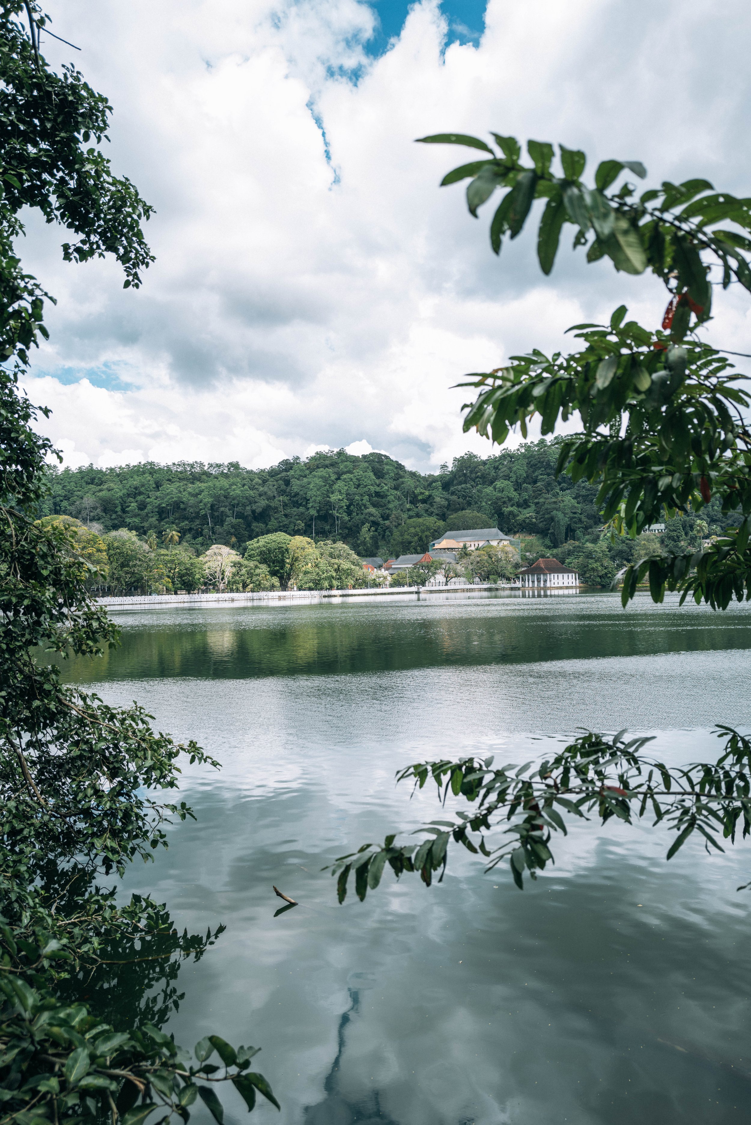 2024 Doux - Sri Lanka - Kandy - 0116 - Cedou.jpg