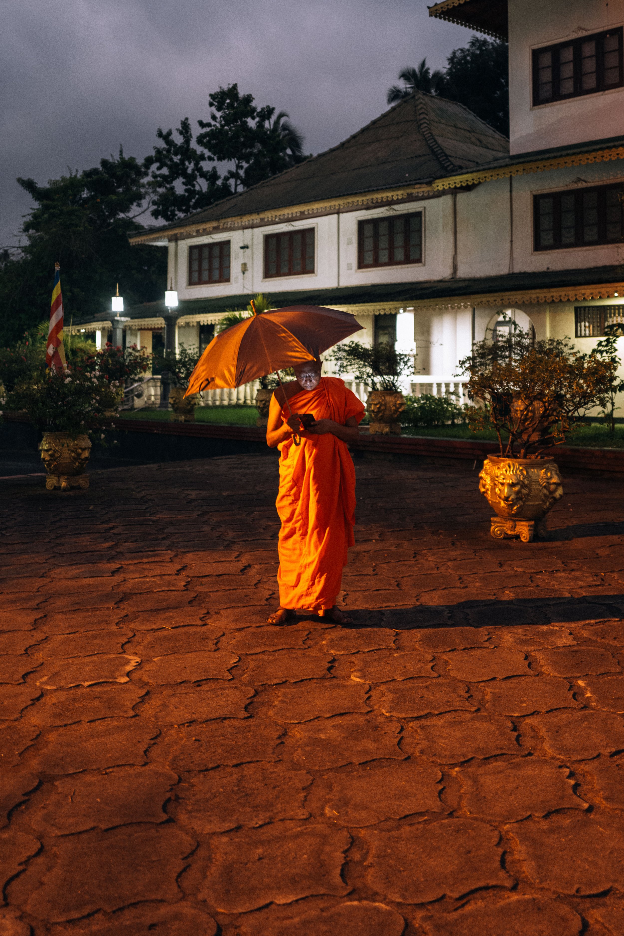 2024 Doux - Sri Lanka - Sigiriya - 0014 - Cedou.jpg