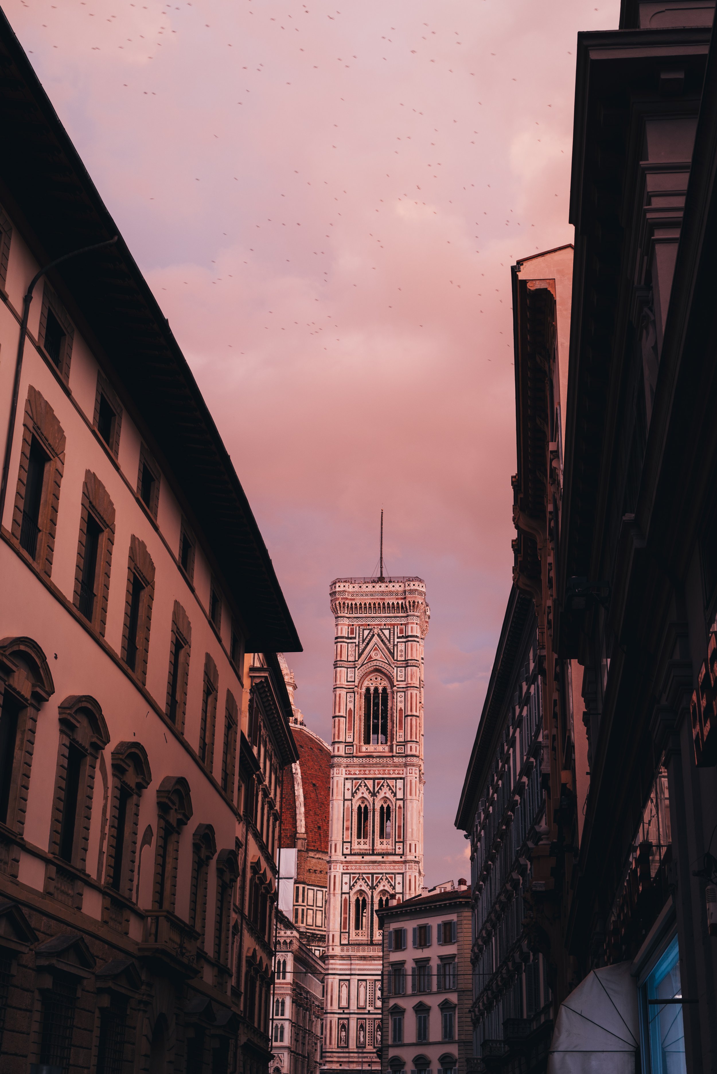 2024 Doux - Florence - 0138 - Cedou.jpg
