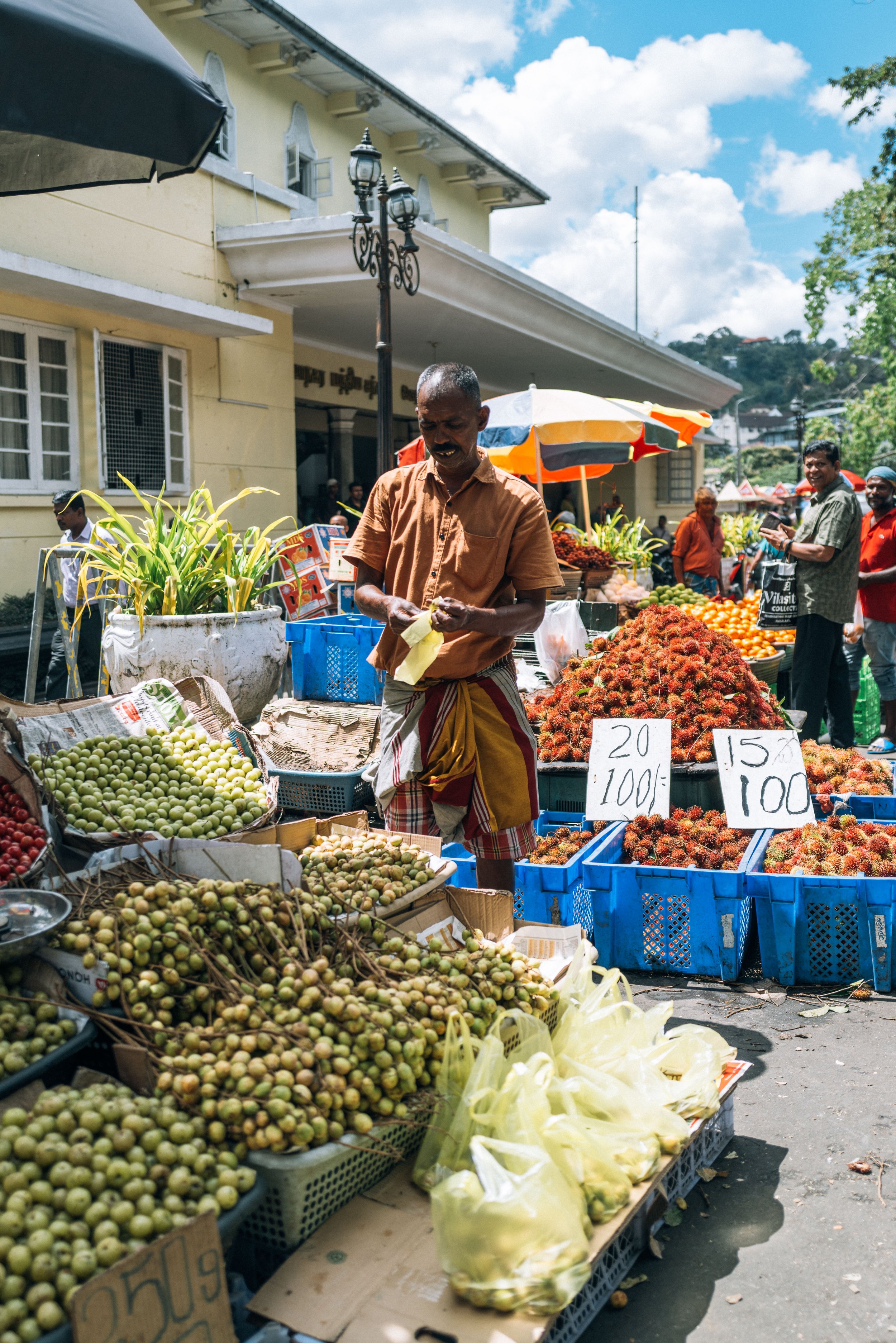 2024 Doux - Sri Lanka - Kandy - 0081 - Cedou.jpg