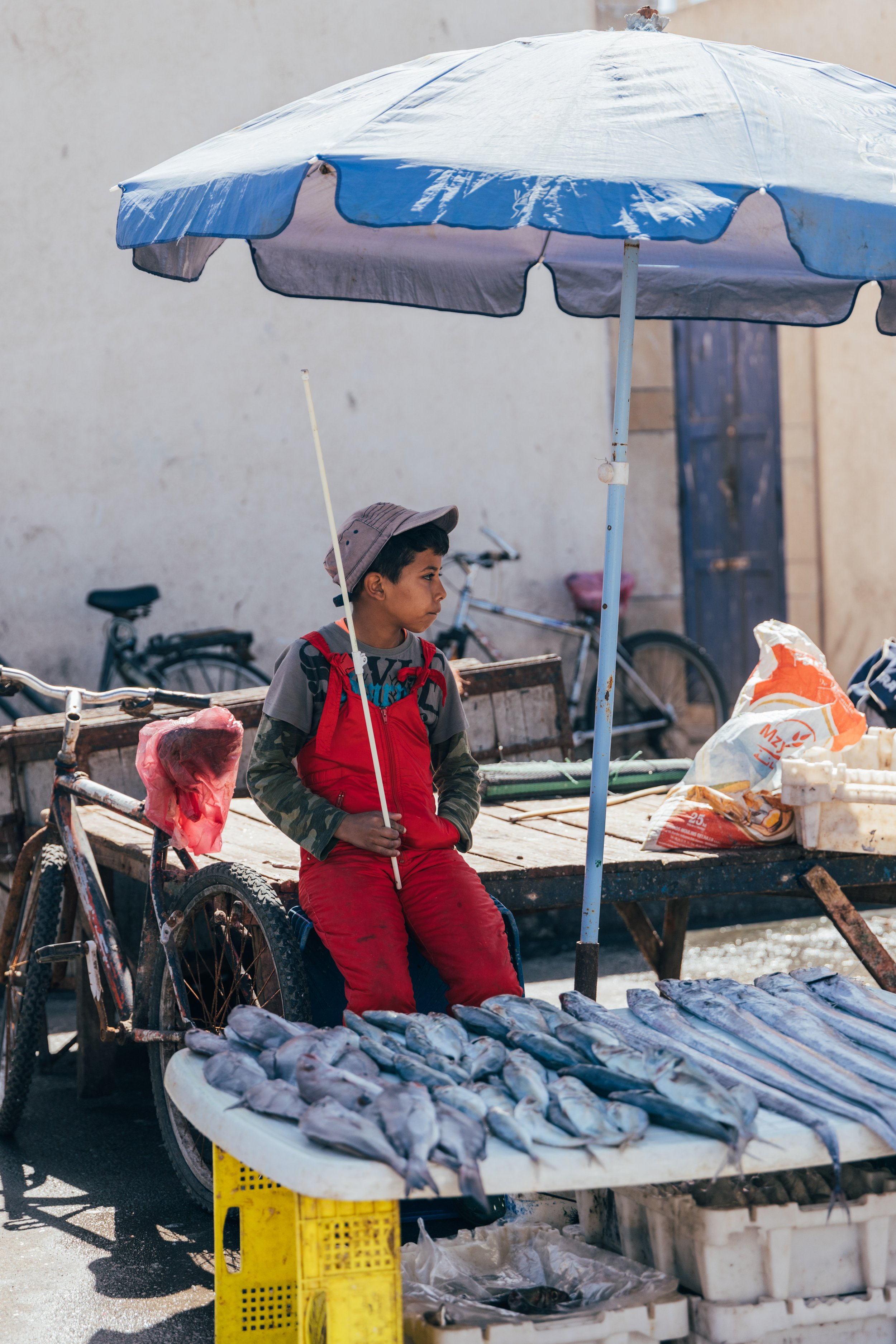 250315 Maroc0116 - Cedou.jpg