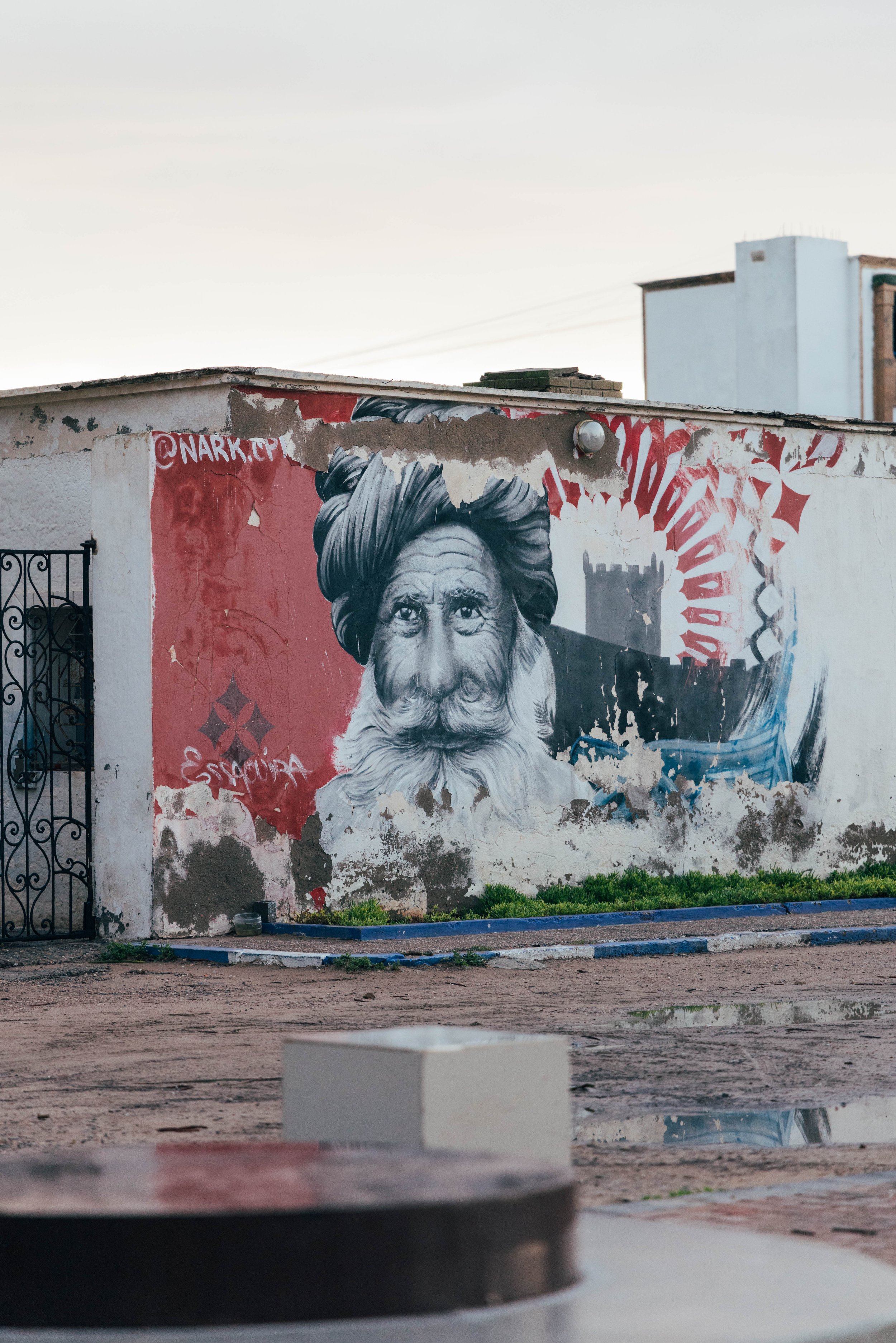 250315 Maroc0026 - Cedou.jpg