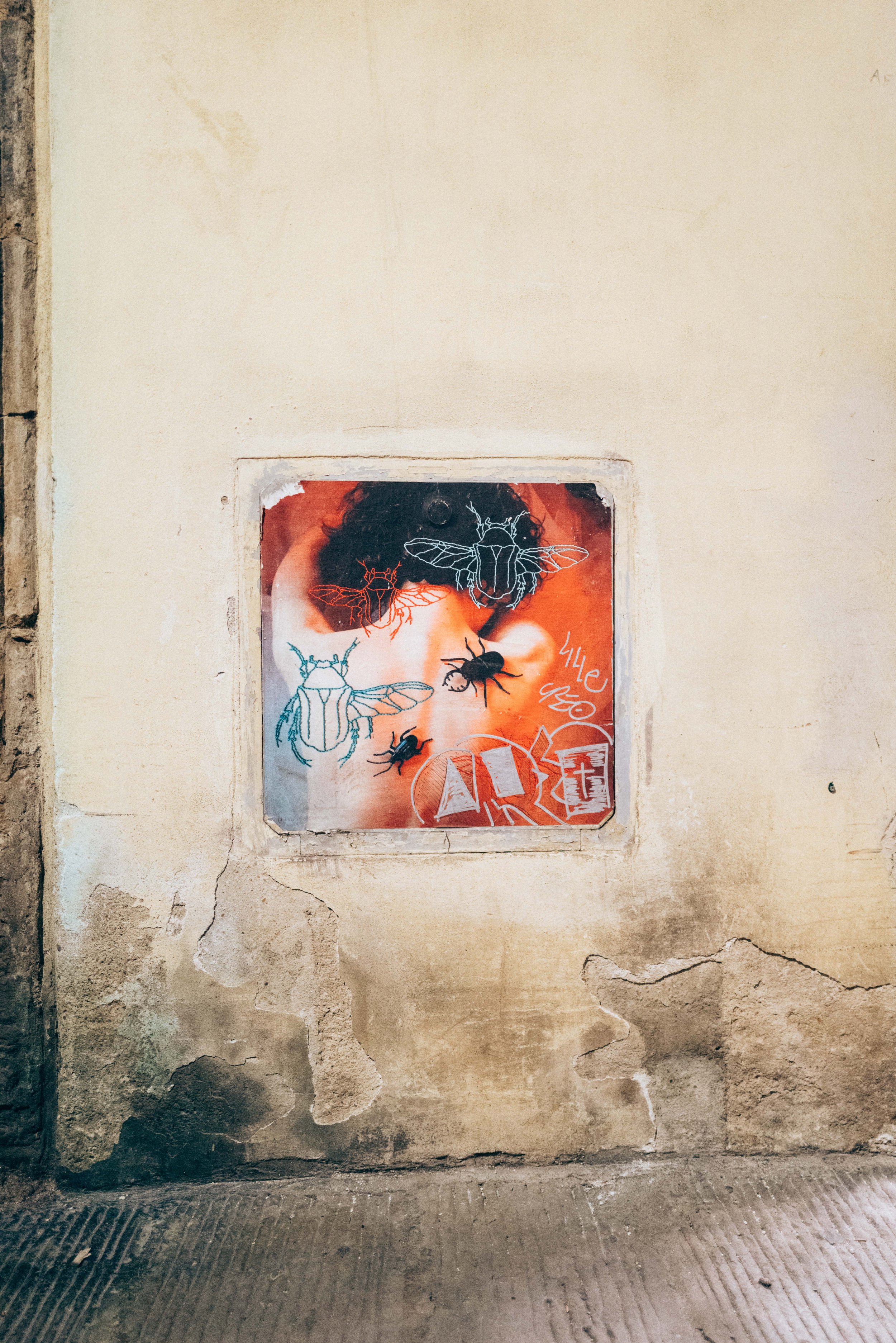 2024 Doux - Florence - 0003 - Cedou.jpg