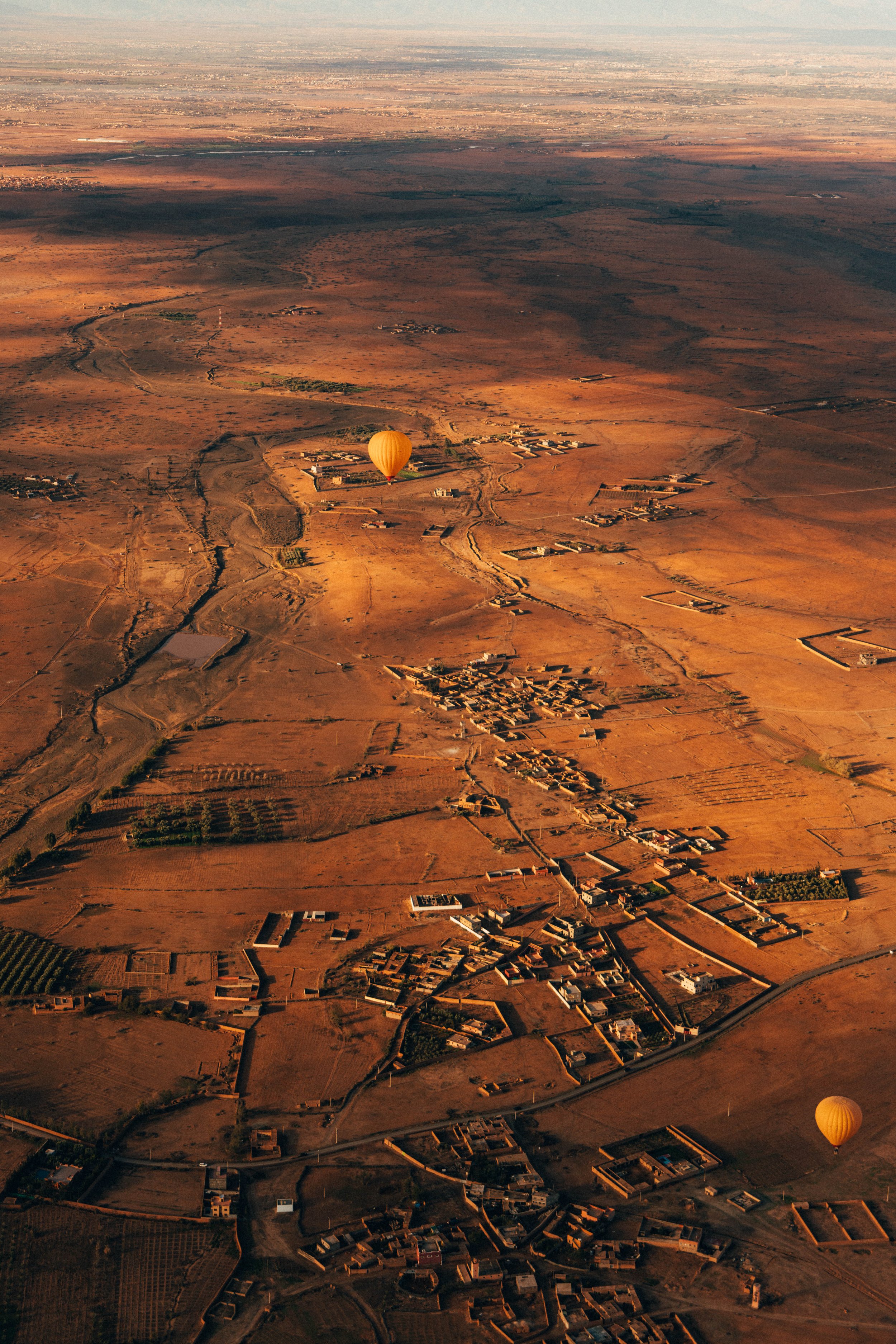250315 Maroc0284 - Cedou.jpg