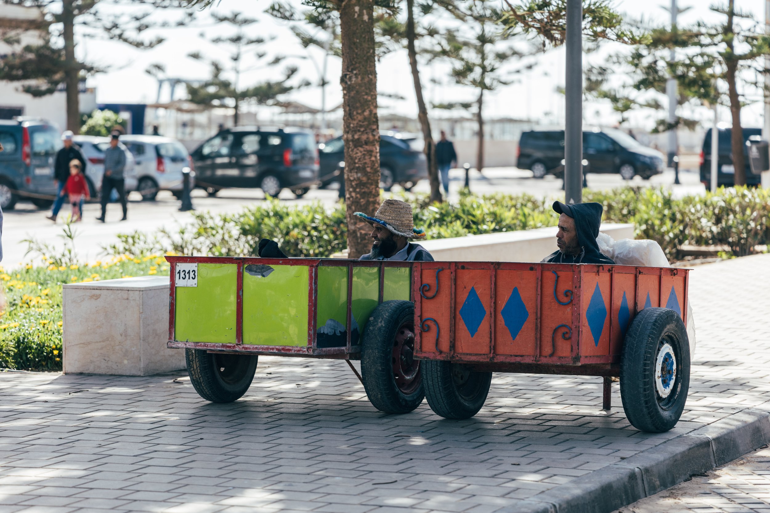 250315 Maroc0241 - Cedou.jpg