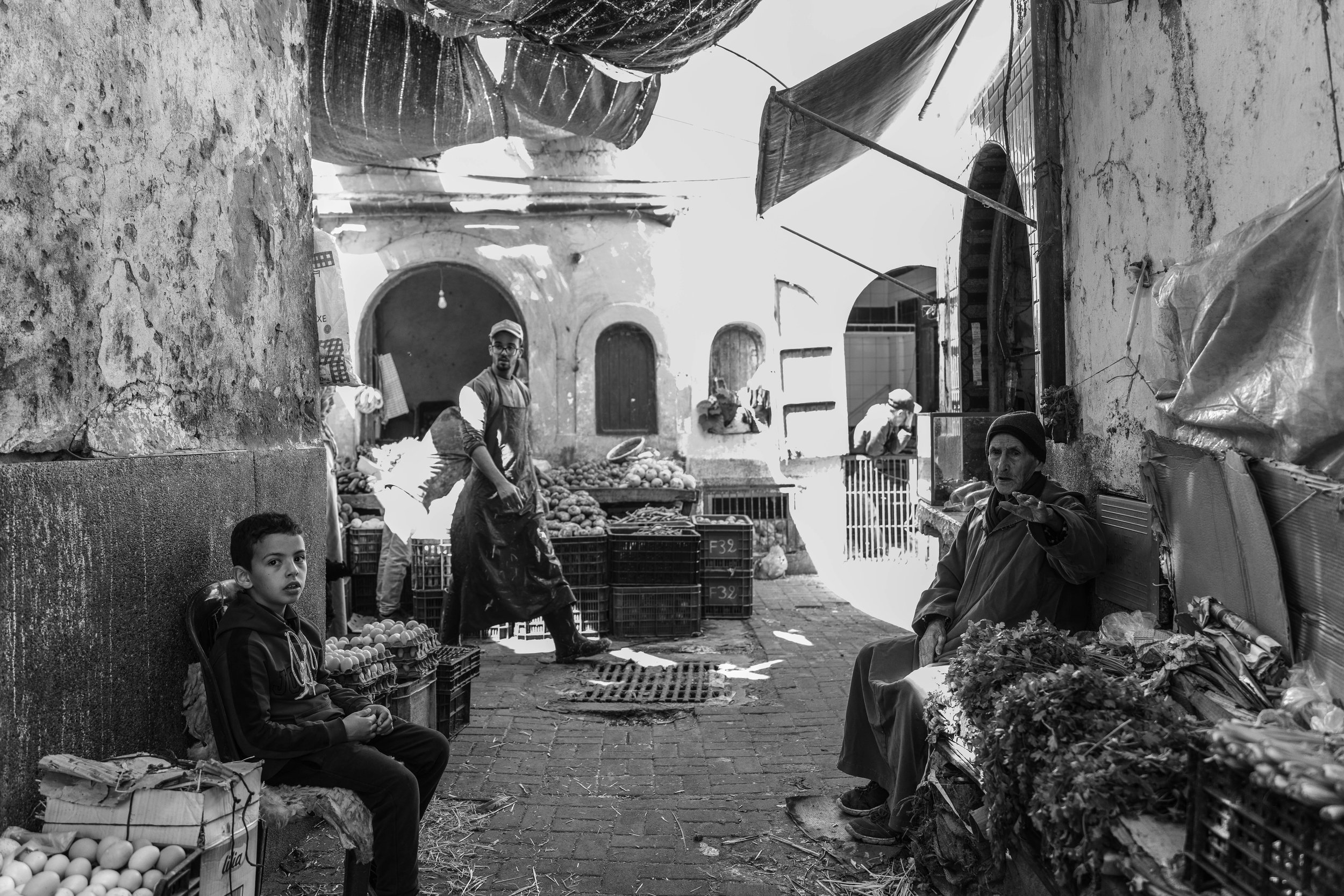 250315 Maroc0206 - Cedou.jpg