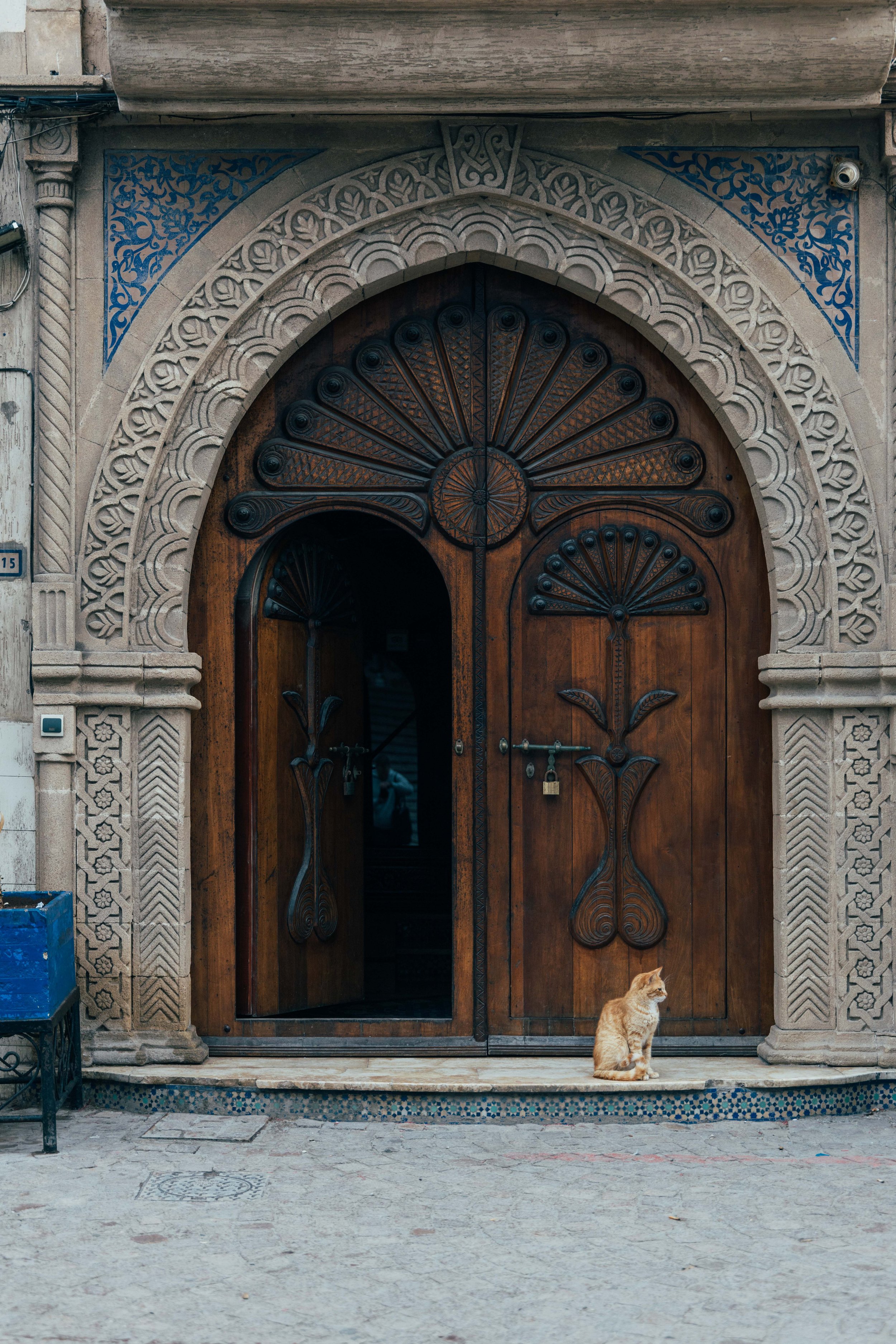 250315 Maroc0069 - Cedou.jpg
