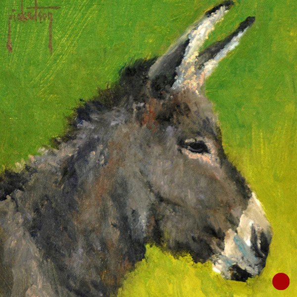 SOLD - A Gray Burro