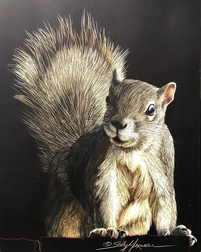 SOLD Squirrel — Santa Fe Trails Fine Art