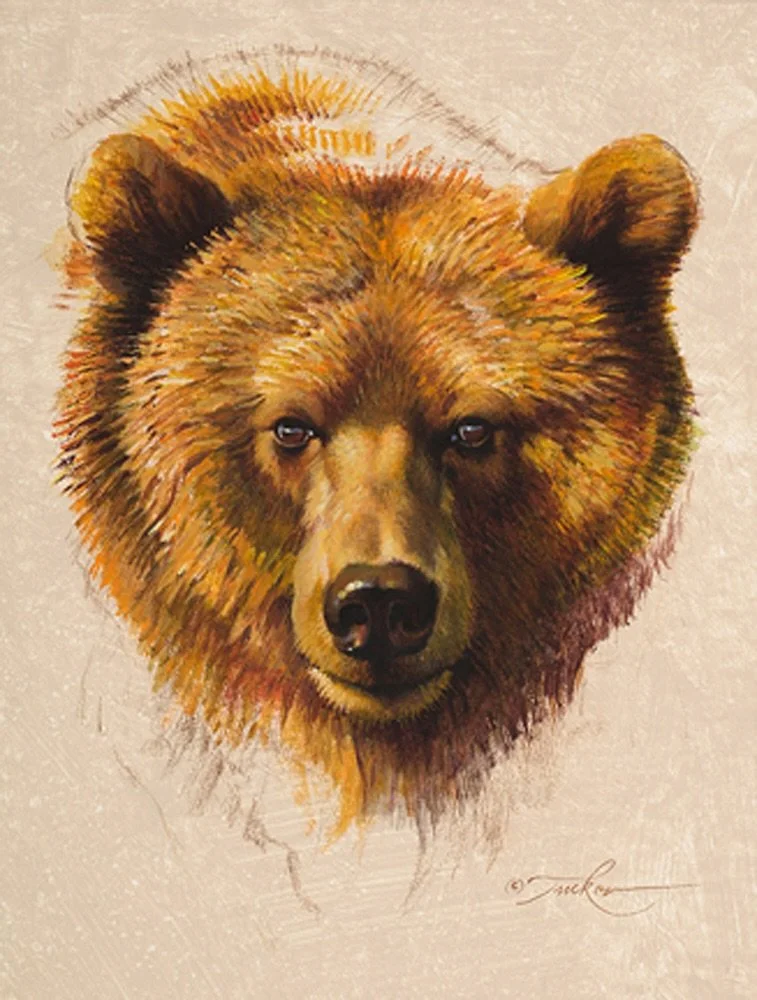 New Ezra Tucker artwork in featuring three new portraits. &ldquo;Grizzy Bear Portrait&rdquo;, &ldquo;Pronghorn Buck Portrait&rdquo;, and &ldquo;Grey Fox Portrait&rdquo;, all 12x9 | acrylic on illustration board.