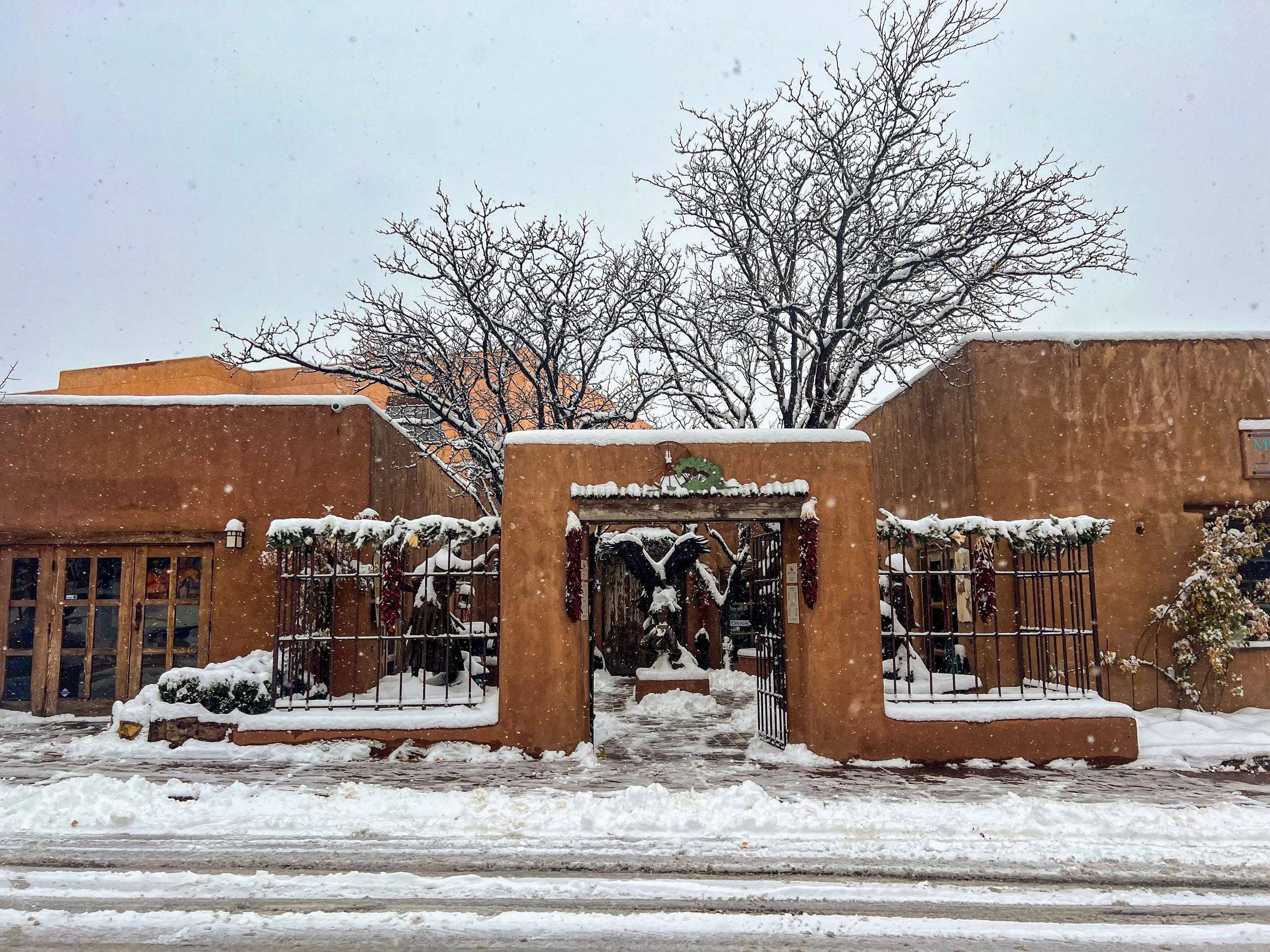 Winter Small Wonders Show