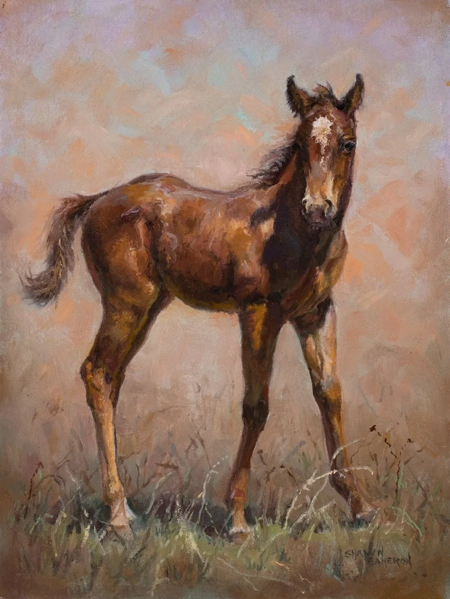 Introducing one of our newest artists at Santa Fe Trails Fine Art, Shawn Cameron! Shawn Cameron&rsquo;s Arizona ranching heritage continues into the sixth generation. Both sides of her family drove cattle into Arizona and began ranching in the 1870s&