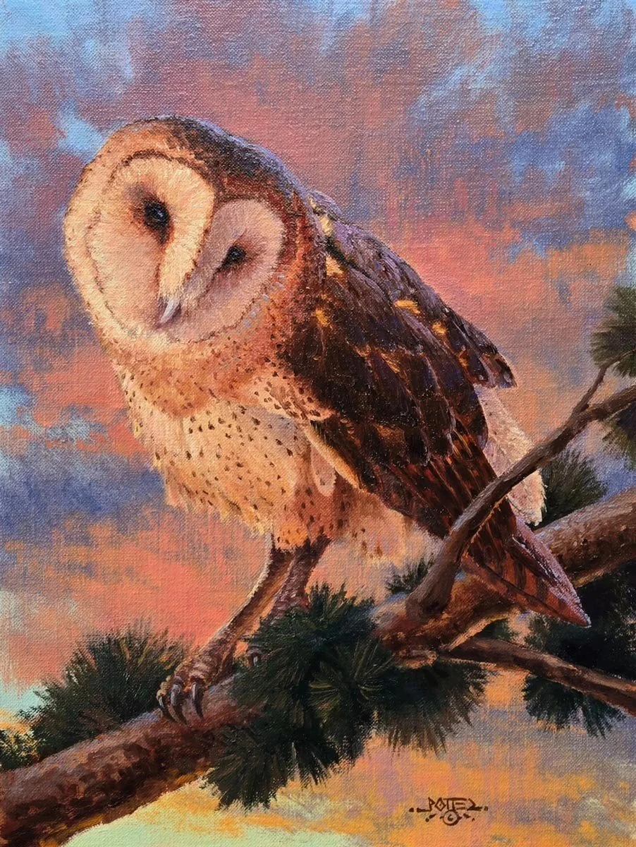 John Potter