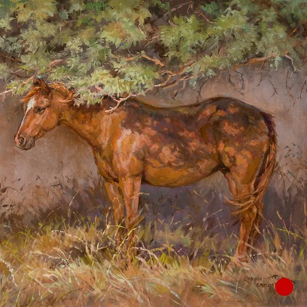 SOLD - Shady Lady