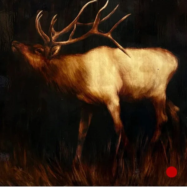 SOLD - Bull Elk