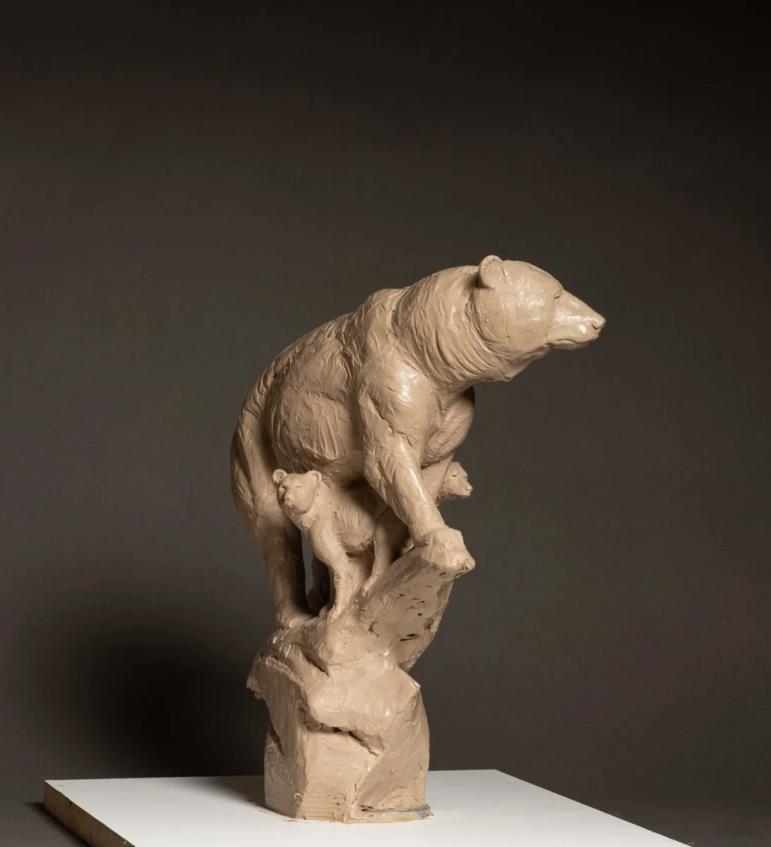 The_Lookout_email-4.jpg