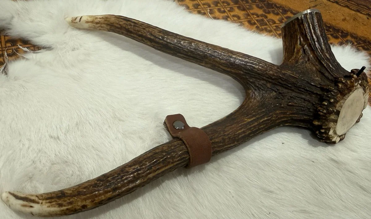 Two Prong Antler Display