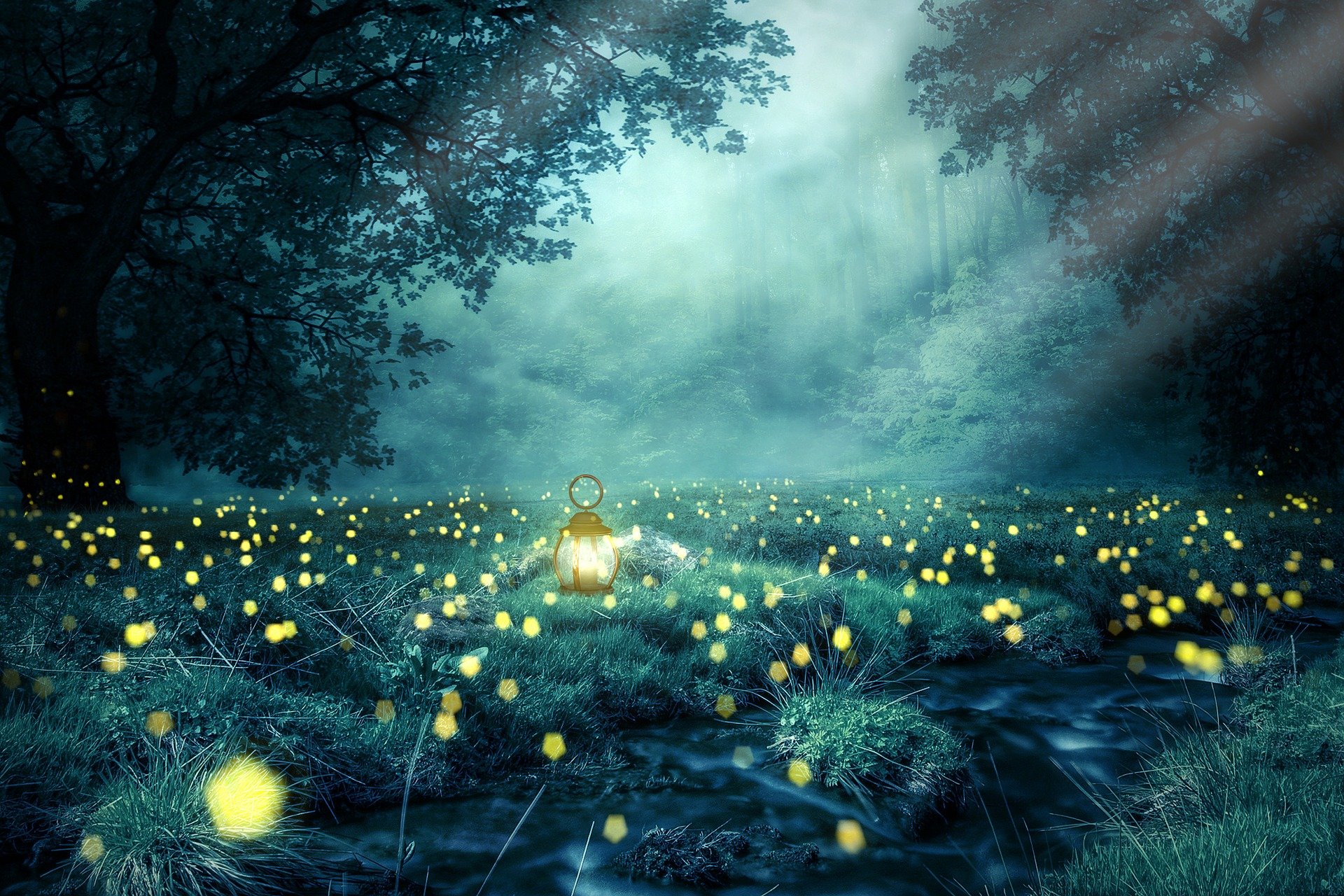 Light your way