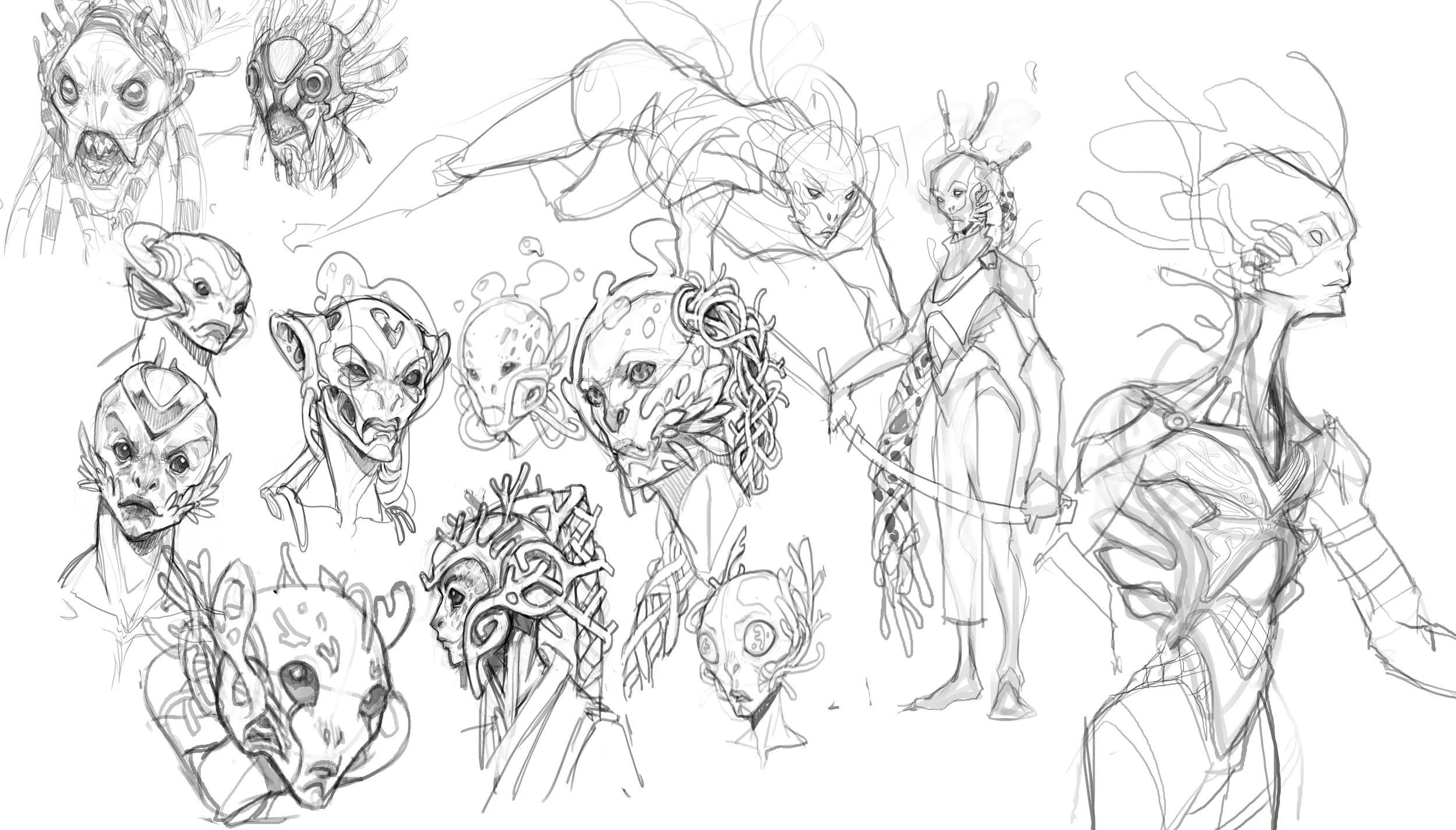 binan amphibioua-Recovered.jpg