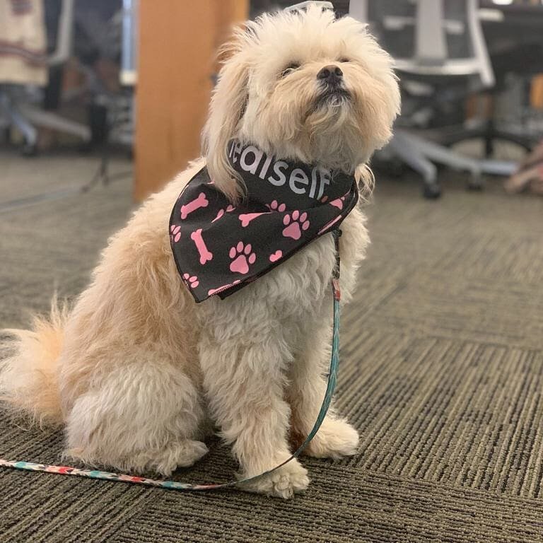 RealSelfDogBandana.jpeg