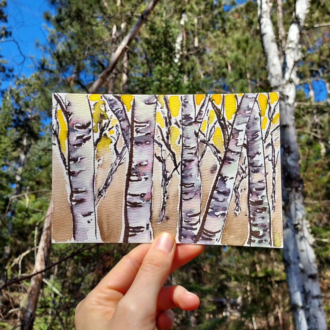 Playing with paint as I learn to capture the textures and colors of a still new-to-me local ecosystem! 

This morning, I went to let our chickens out and heard trumpter swans calling down on Spearhead Lake. I wandered down and enjoyed a few minutes o