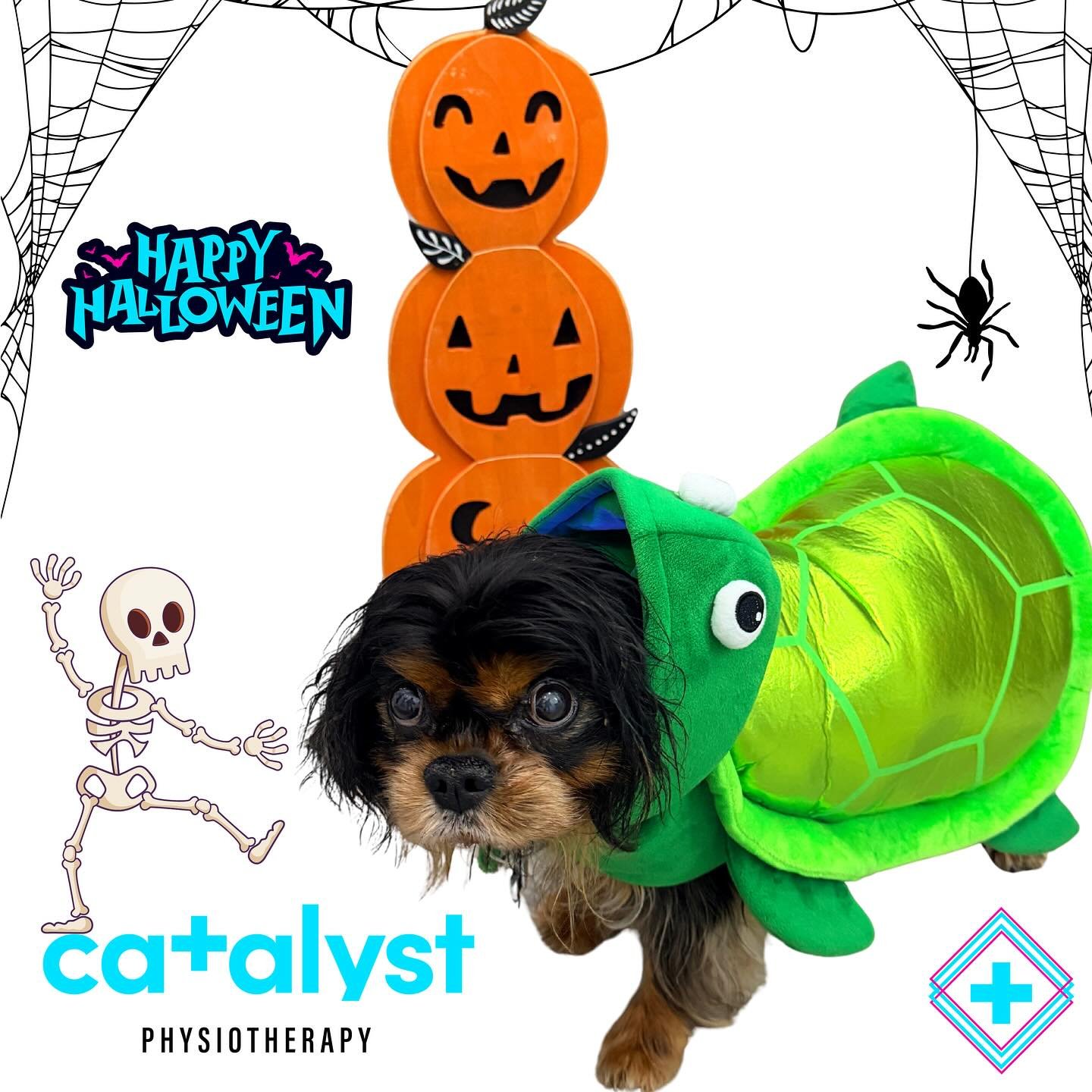 Happy Halloween from this slow poke! 🎃🐢