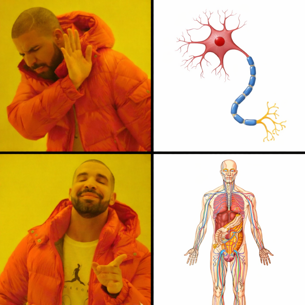 Not Everything is a Nerve Problem