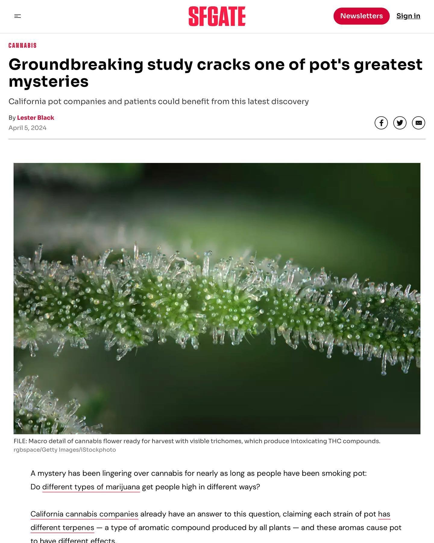 With 100&rsquo;s of chemical compounds in this plant, we need to stop focusing in on only one- THC!
Check out this latest article by @leddder for SF Gate.
~
For us, we thrilled to see the work being done in the science and medical community, to furth