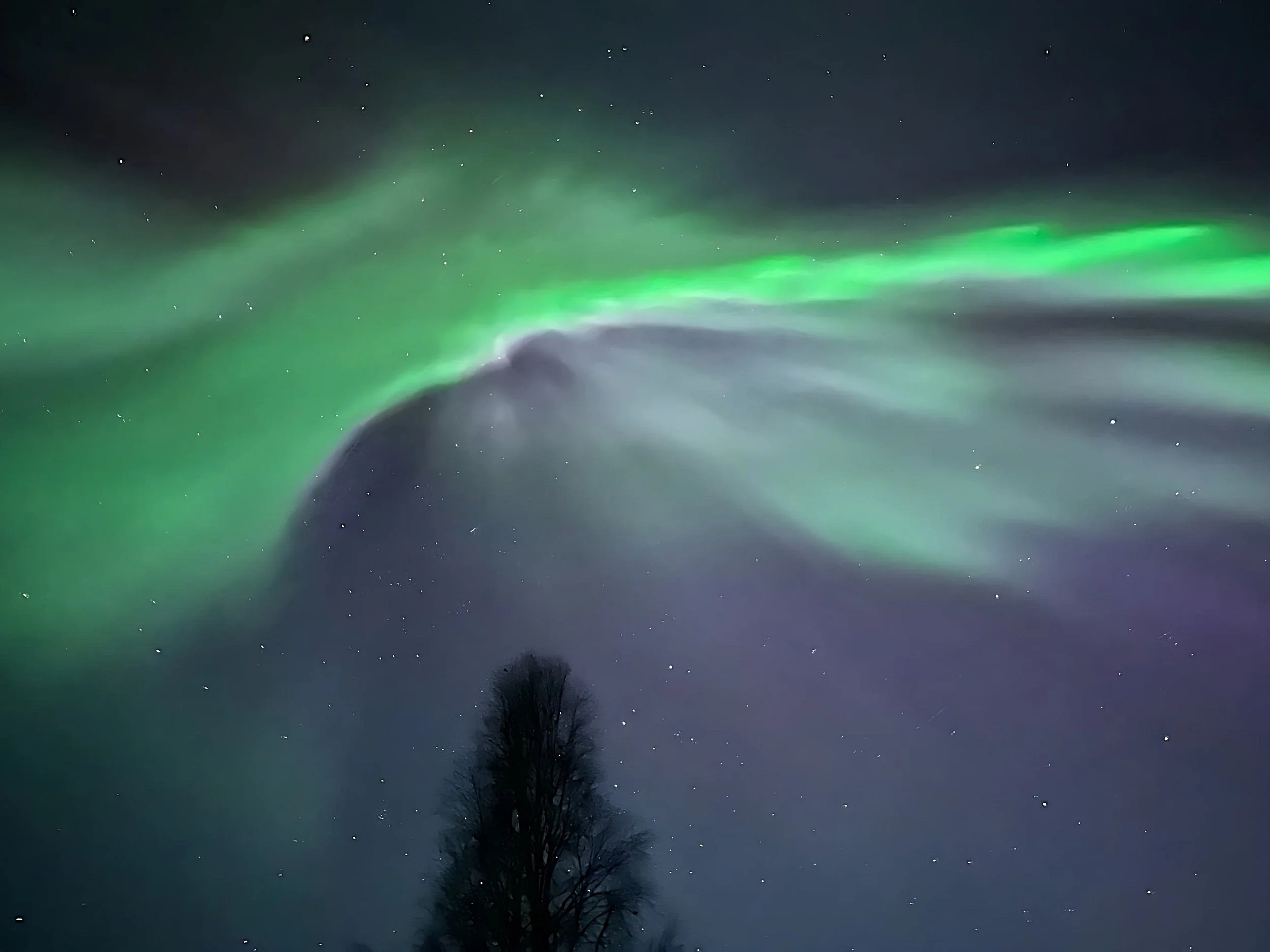 Northern Lights right outside our house!