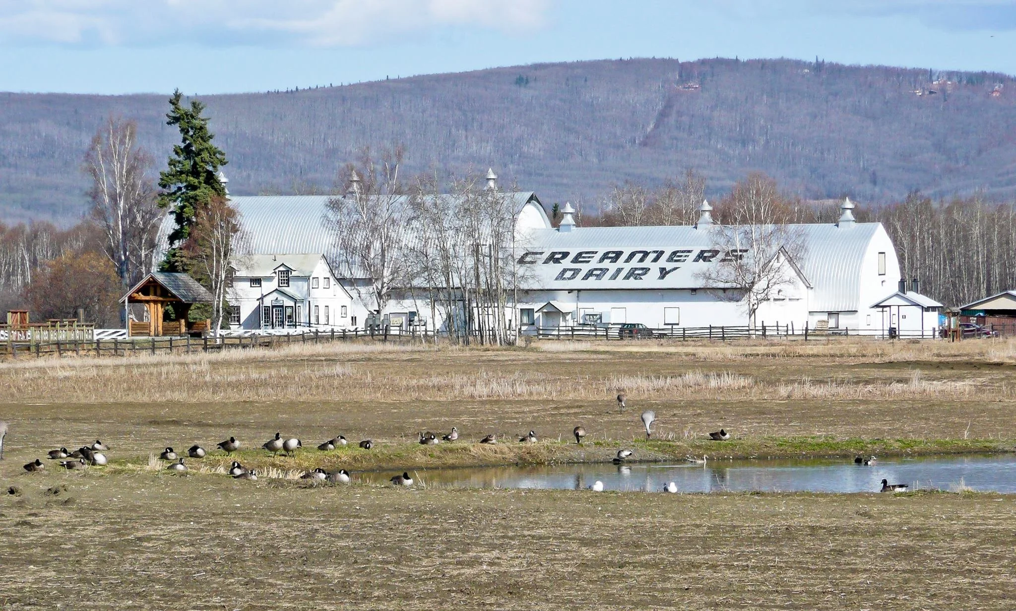 Creamer's Field Migratory Waterfowl Refuge