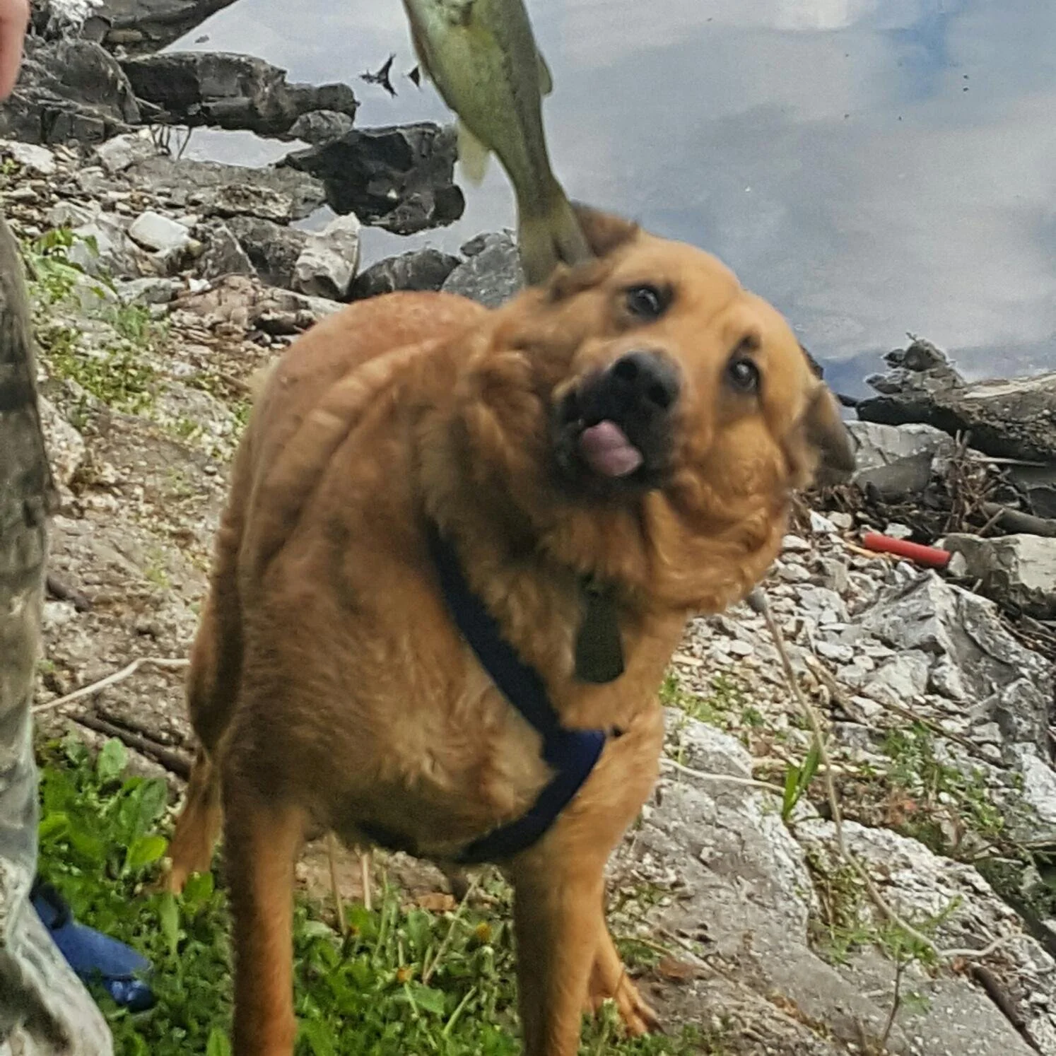 meg fish.JPG