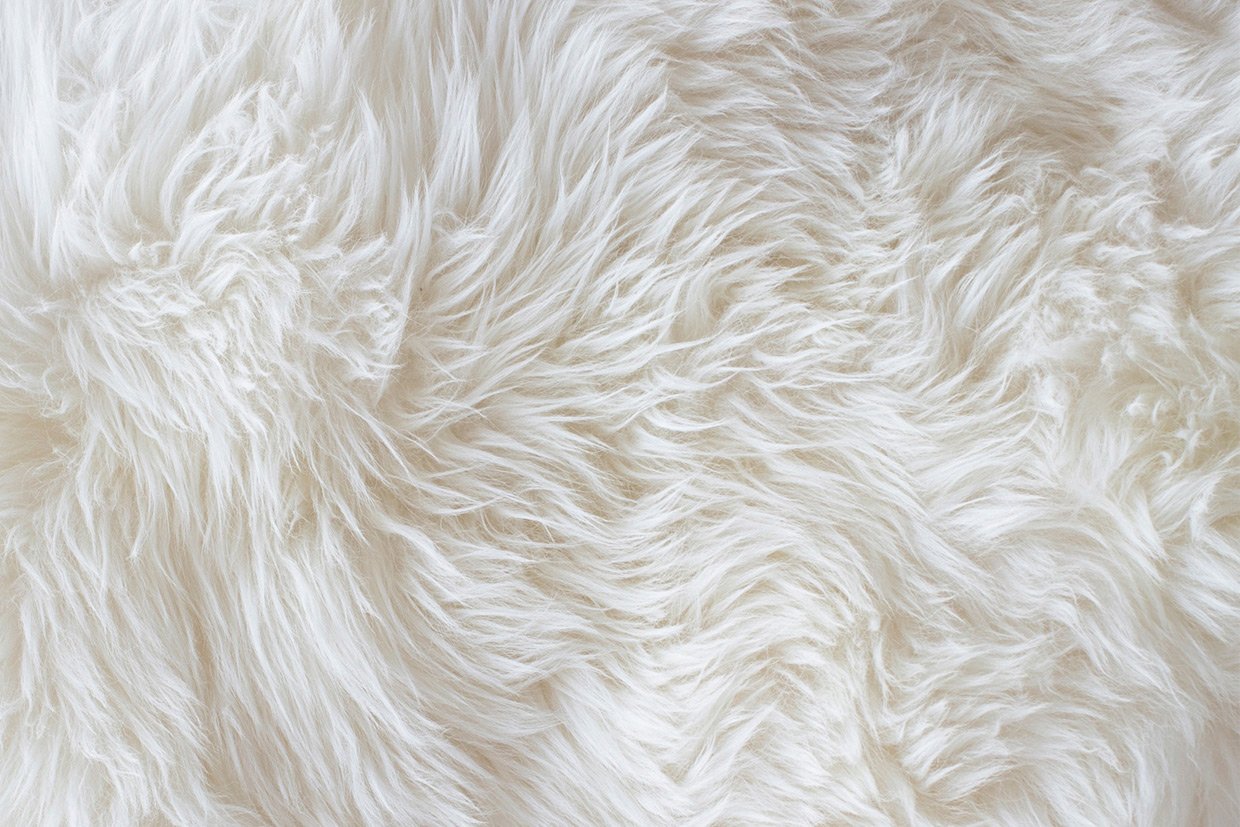 Scandinavian Designs Swatches & Materials Photography