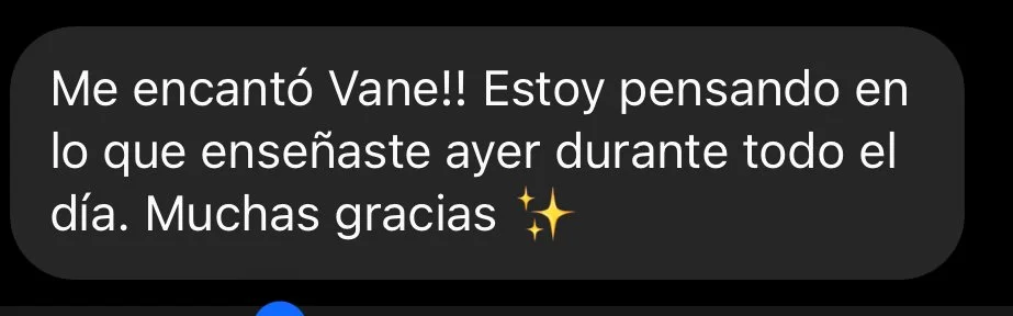 The Light Arts client testimonial