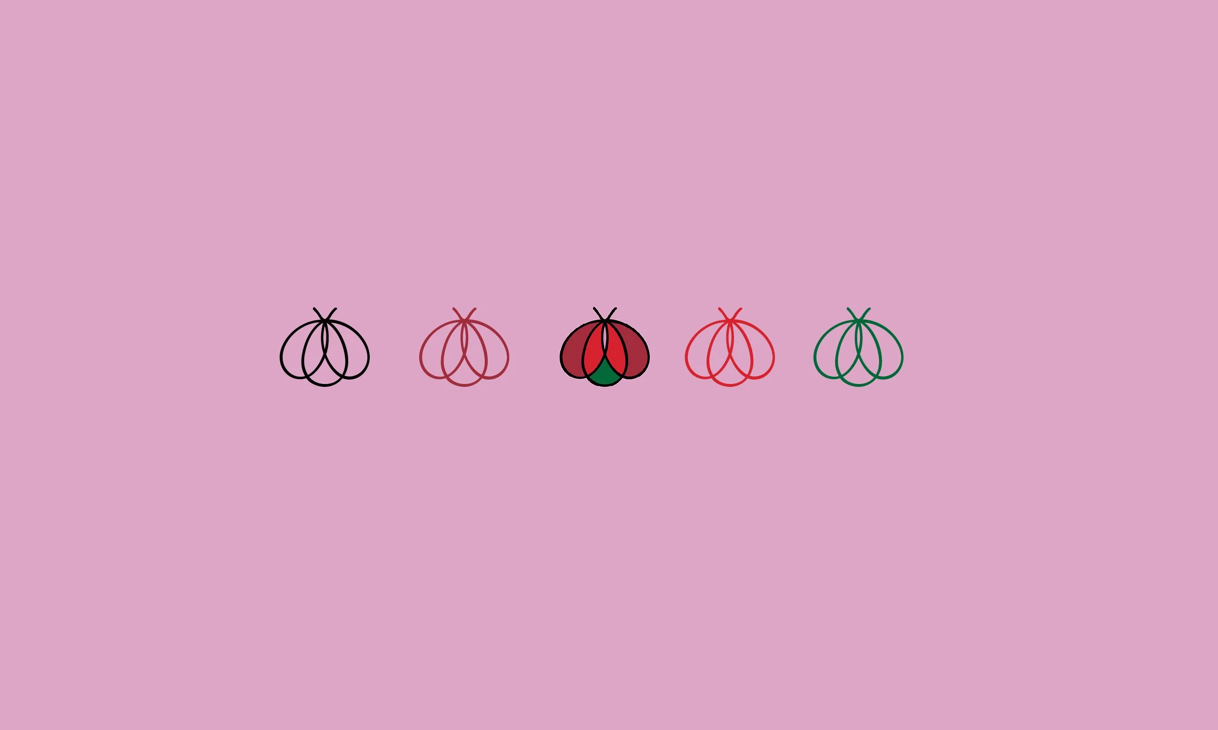 Ladybug Productions final logo design — feminine and transformative brand identity