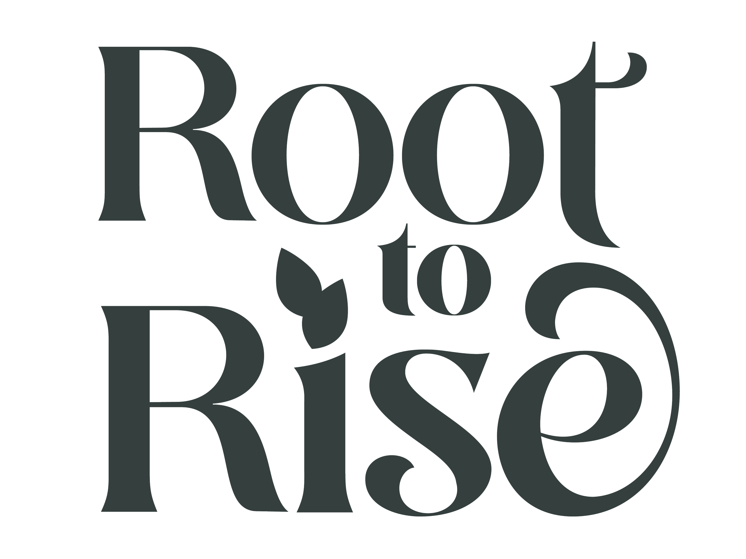 Typography design with the phrase "Root to Rise" in large, stylized black letters with a small leaf graphic, on a transparent background.