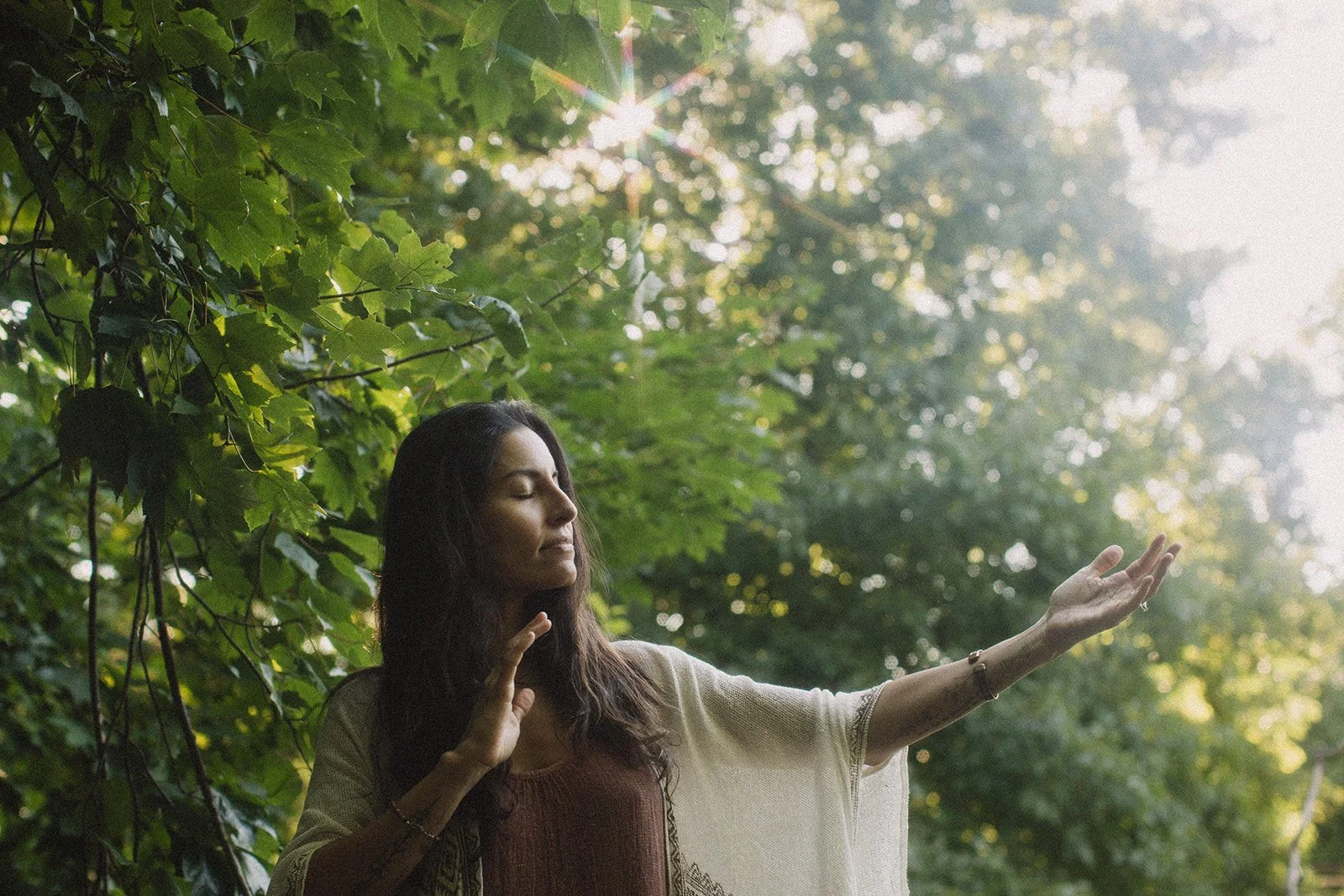 What are energy centres? The rainbow body, chakras and your toroidal field