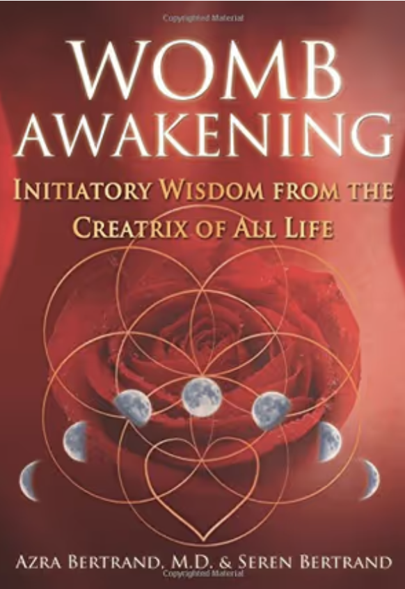 Womb Awakening book