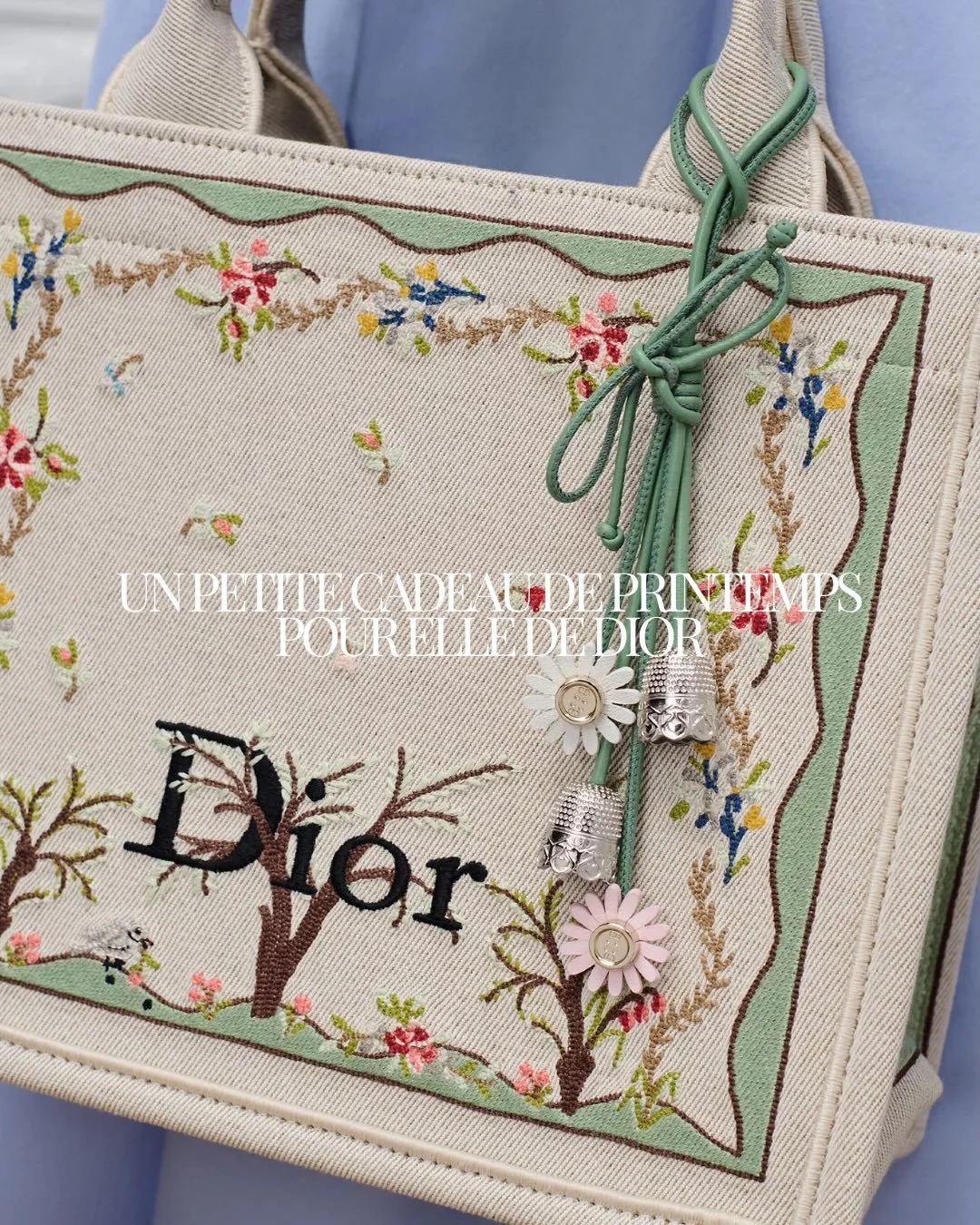 For Spring/Summer 2026, Dior is focusing on more than just bags more about the details that turn bags into personal talismans. With Jonathan Anderson leading the way, Dior has introduced a new collection of bag charms that feel both poetic and meanin