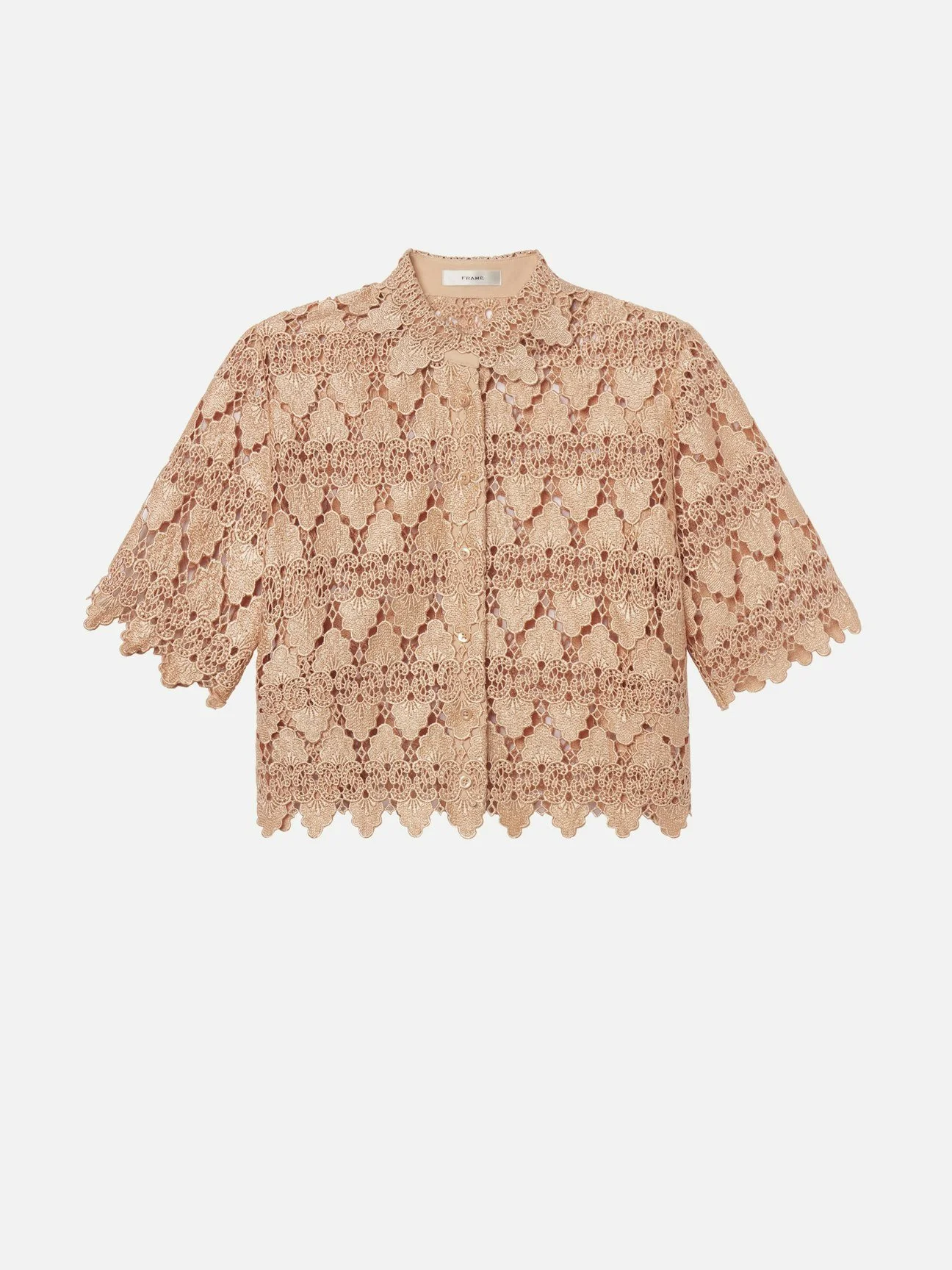 FRAME The Lace Button Up Shirt in Blush.jpg