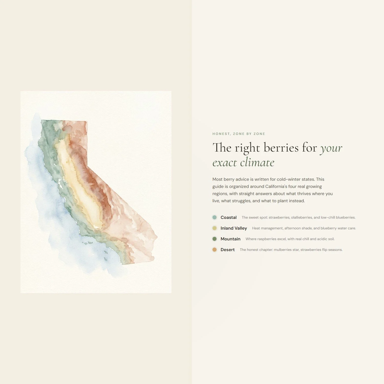 california-berry-growing-guide-4-differentiator.jpeg