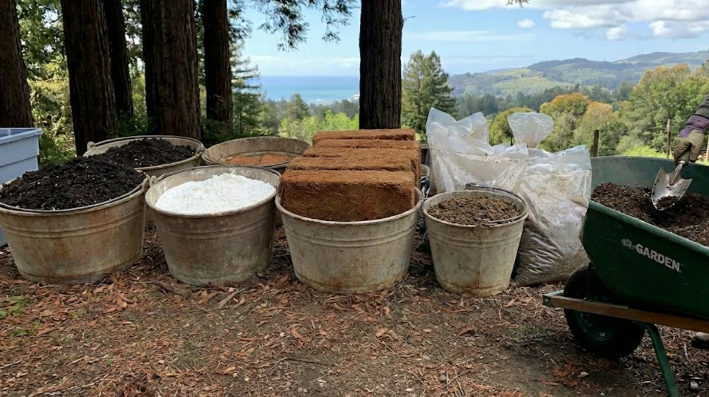 Soil Amendments for Santa Cruz County Gardens: What to Add and When
