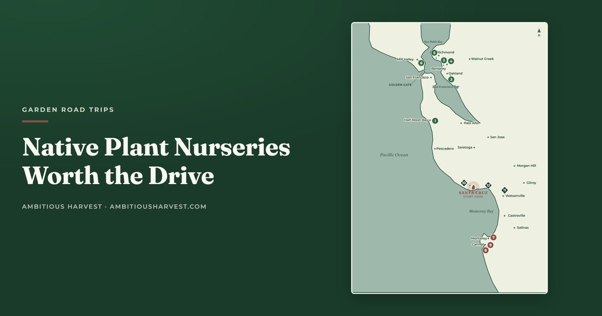 California Native Plant Nurseries Worth the Drive from Santa Cruz: Where to Buy Natives North and South