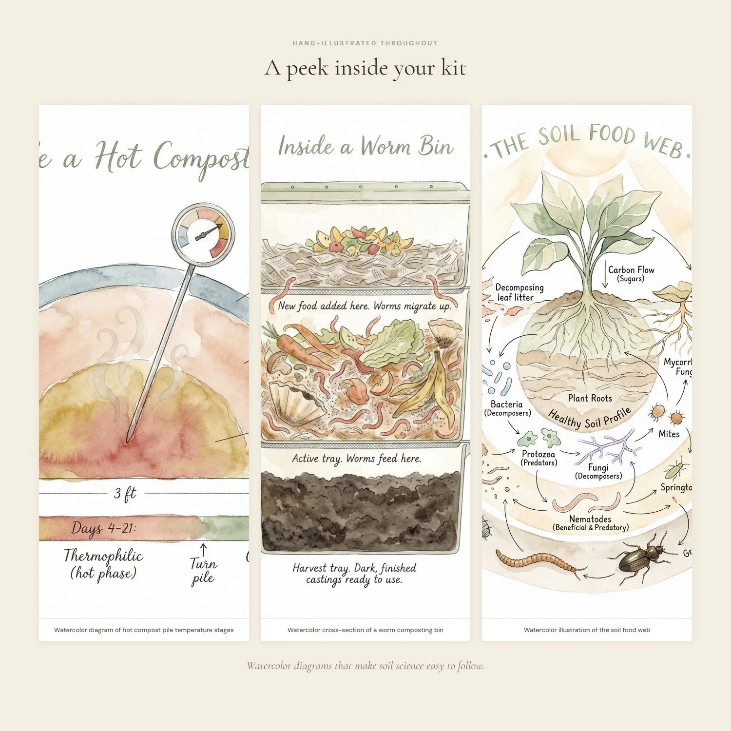 composting-soil-building-guide-3-interior.jpeg